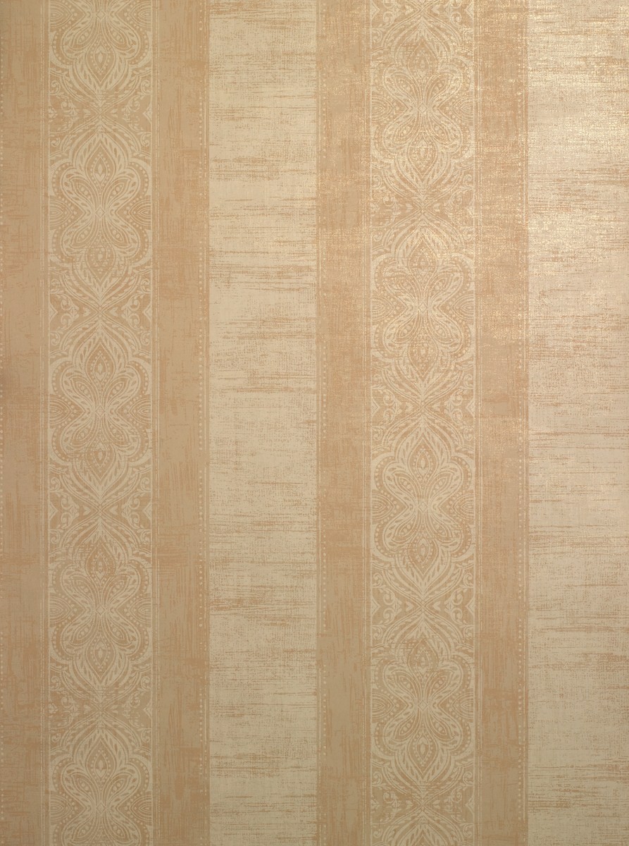 Rayure Vizir DE21305