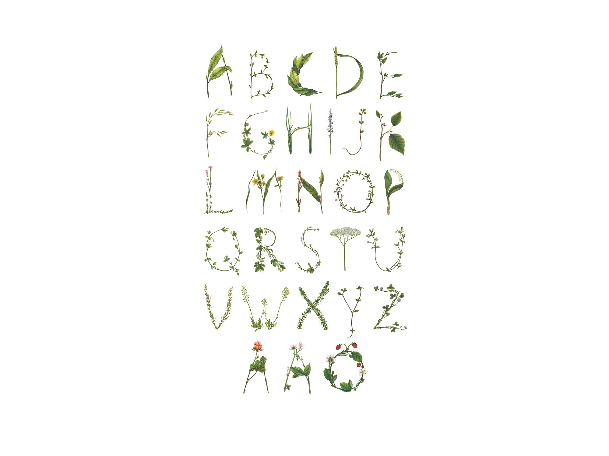 Abc For The Spelling Bee In Swedish R13193