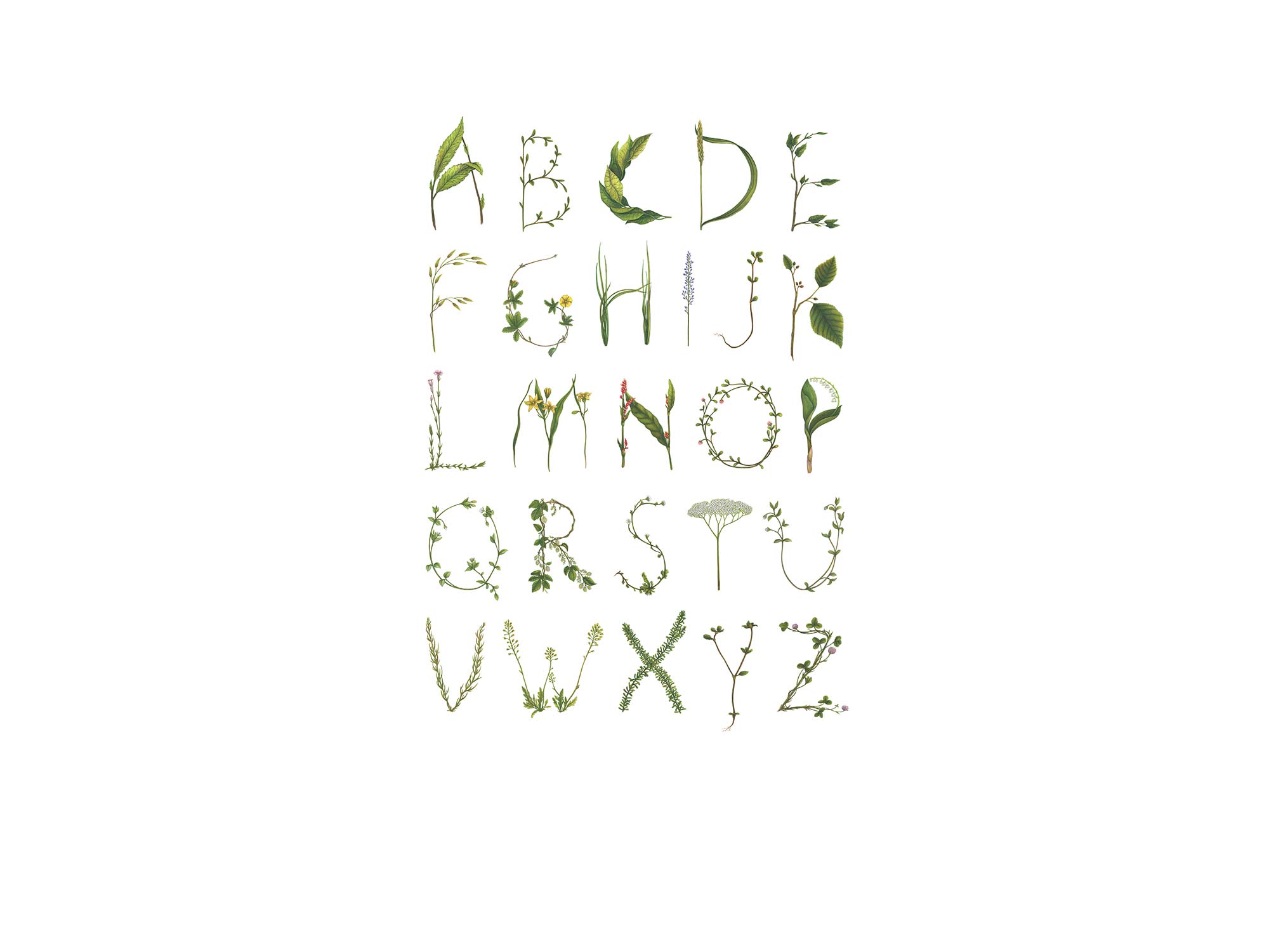 Abc For The Spelling Bee R13191