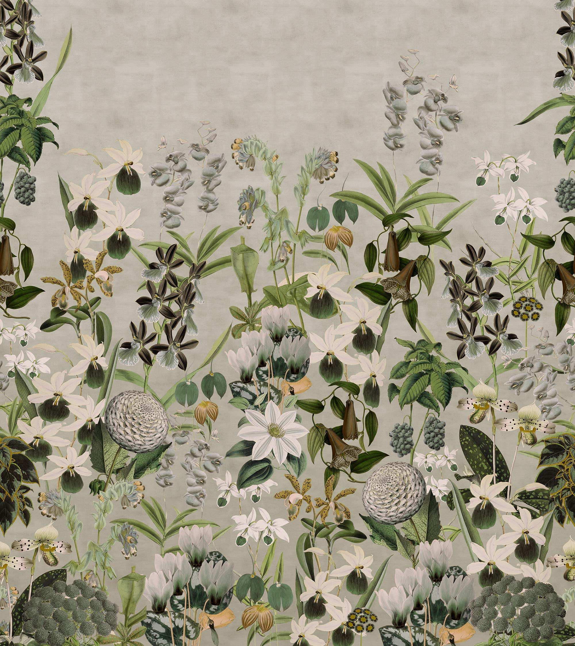 Alice'S Garden R17162