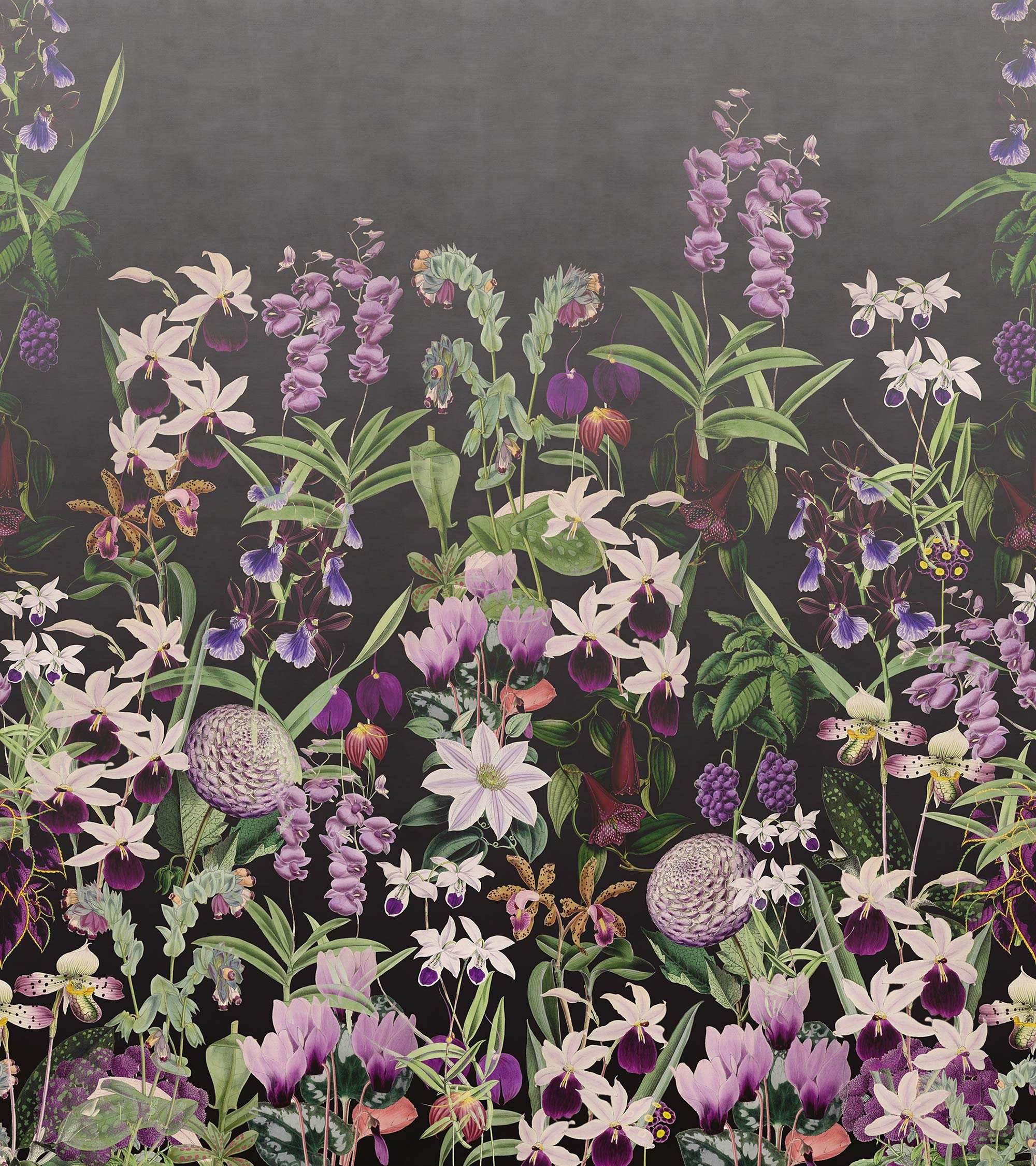 Alice'S Garden R17163