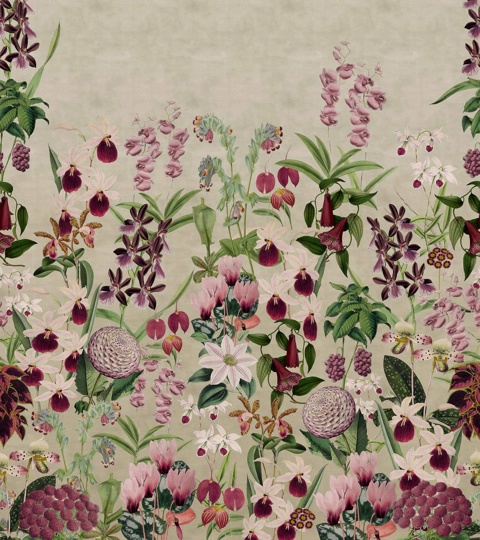 Alice'S Garden R17161