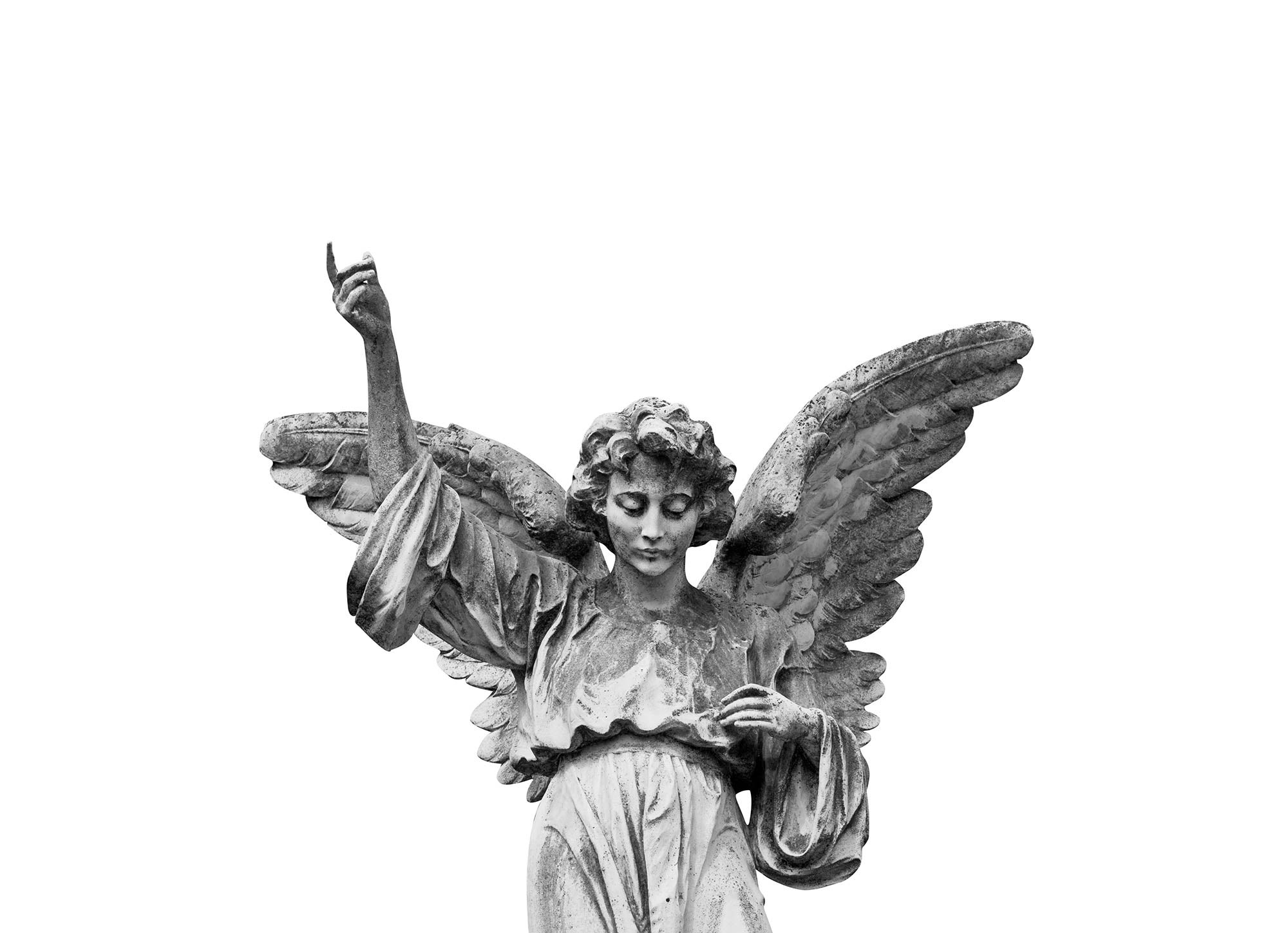 Angel R11731