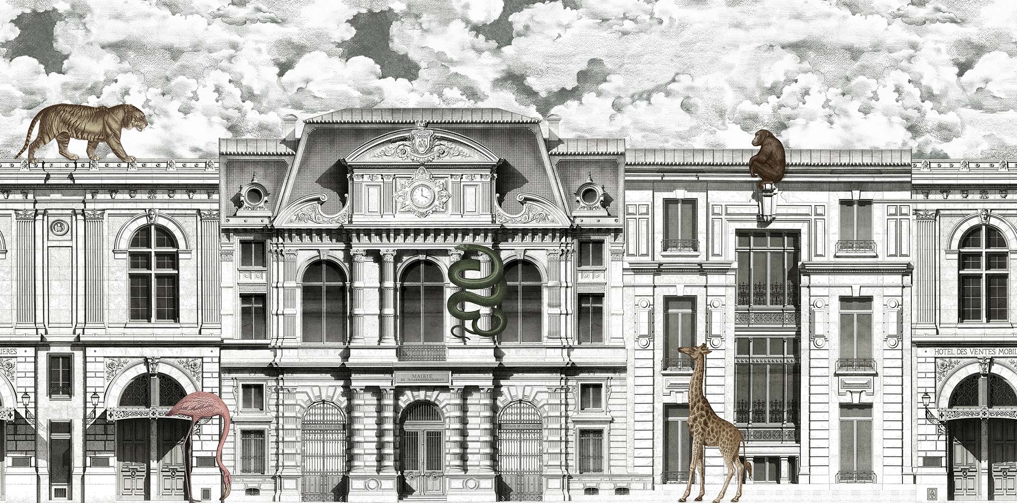 Animal Avenue R17171