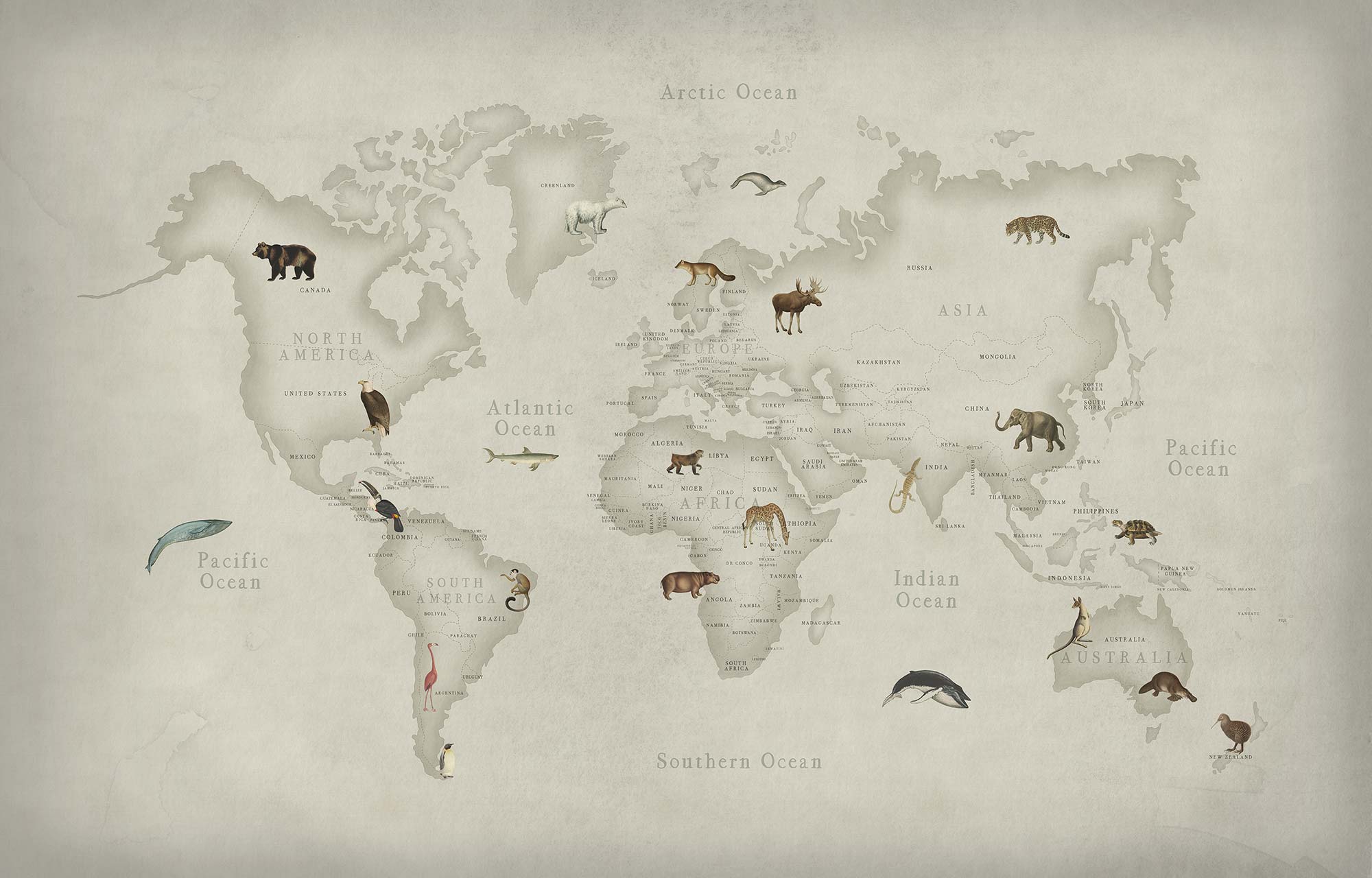 Animal World R17231