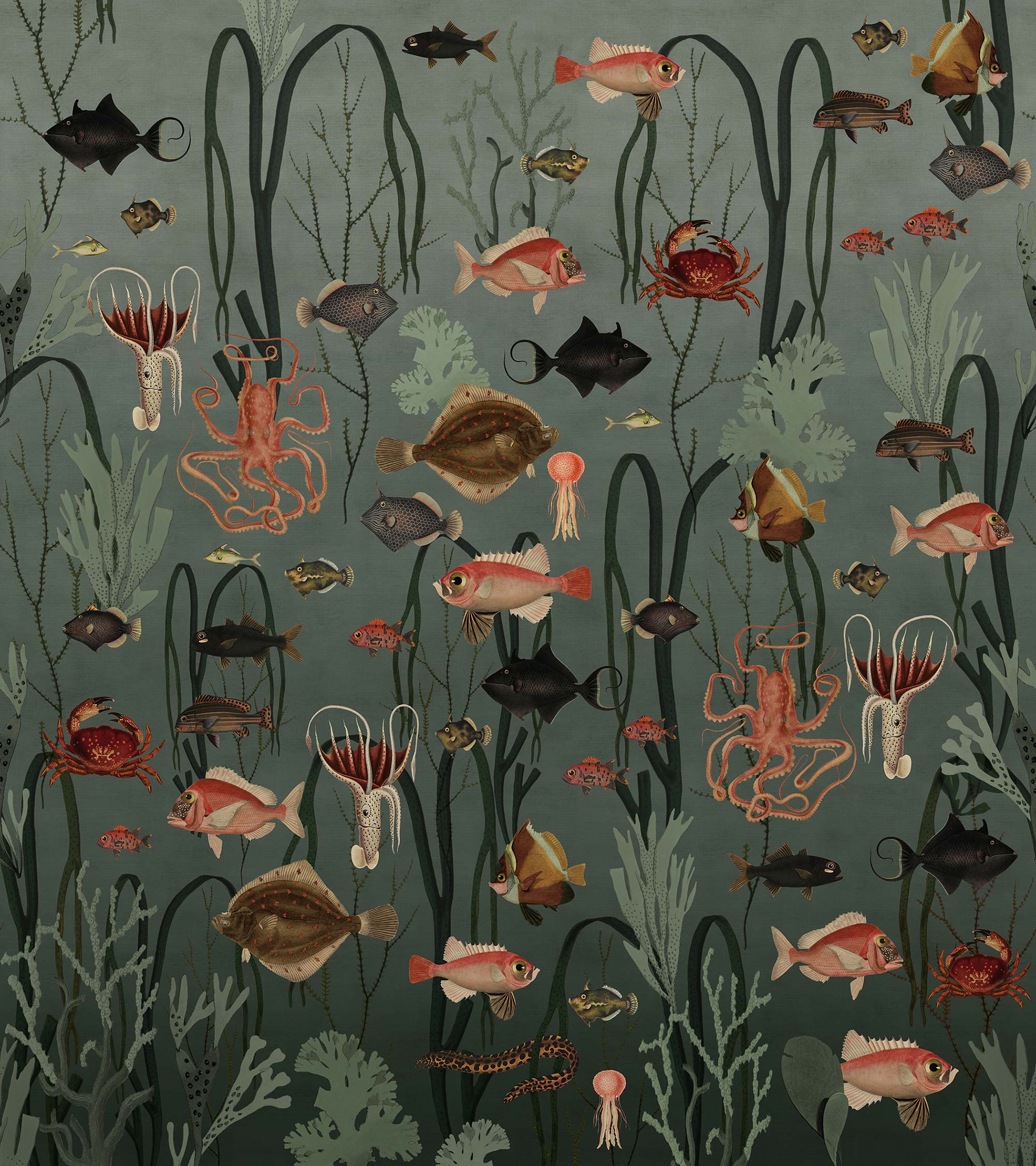 Aquatic Life R17141