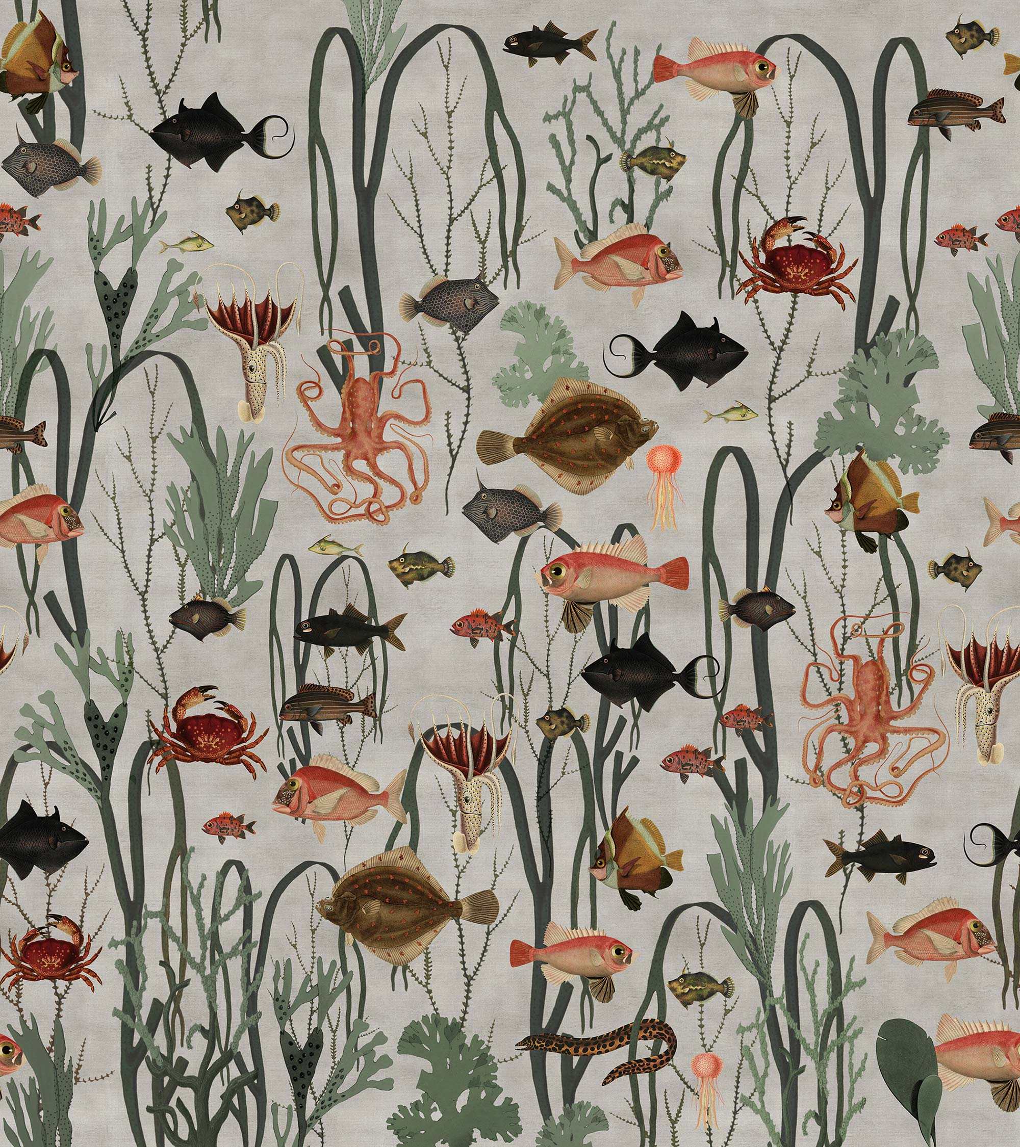 Aquatic Life R17144