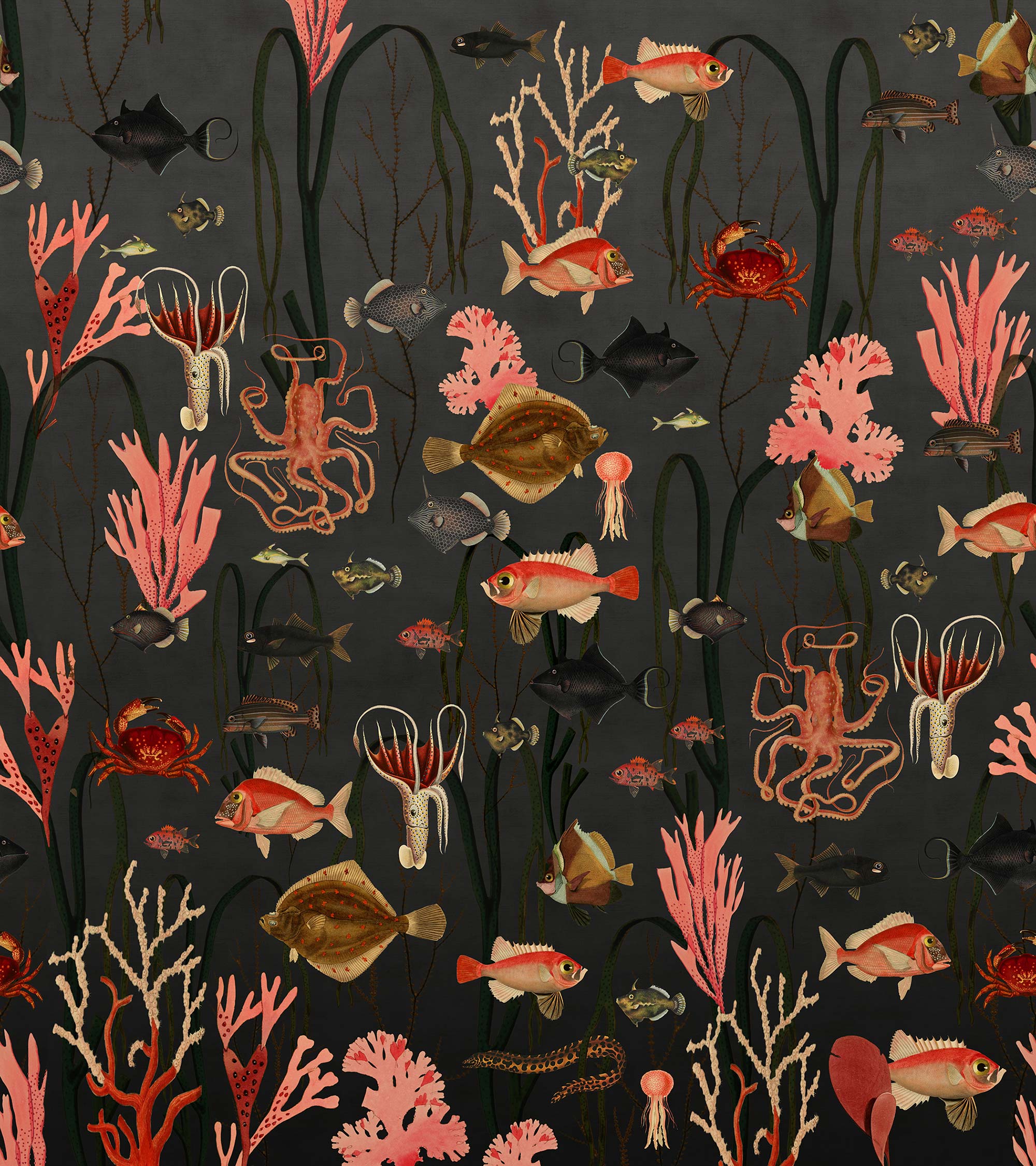 Aquatic Life R17143