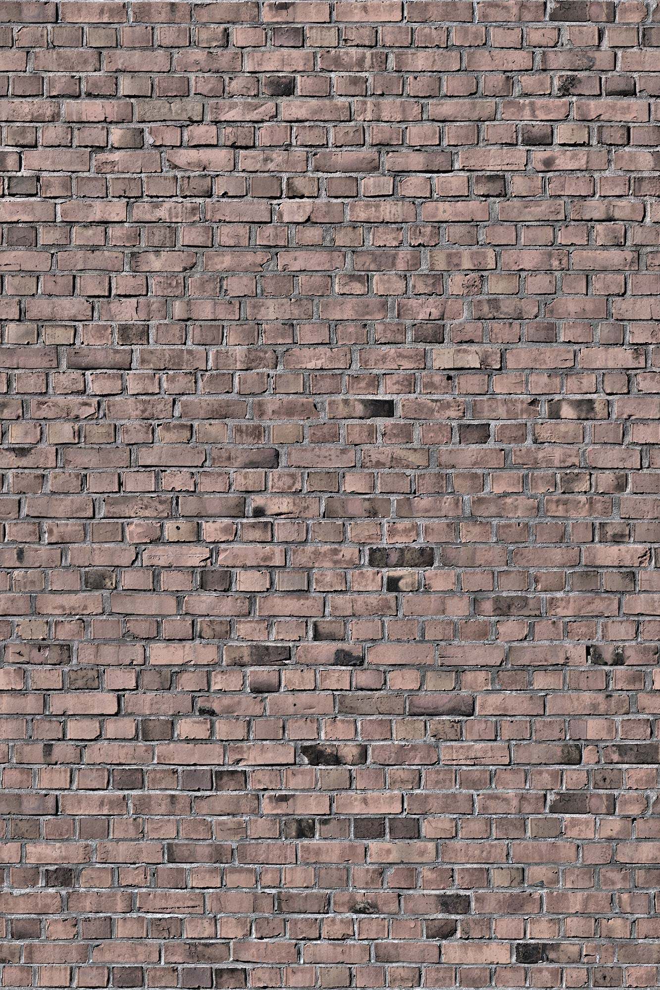 Brick Wall R10964
