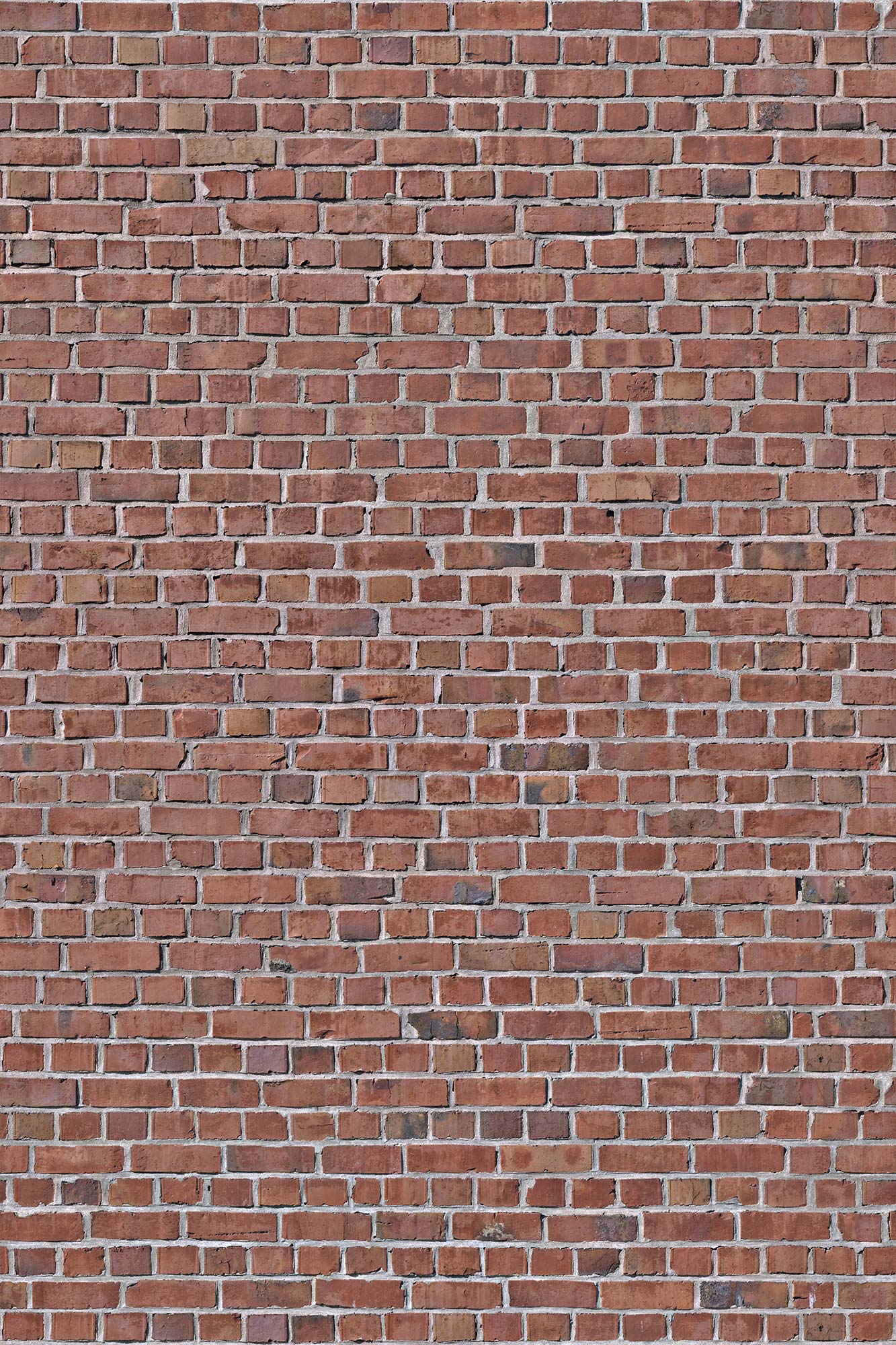 Brick Wall R10961