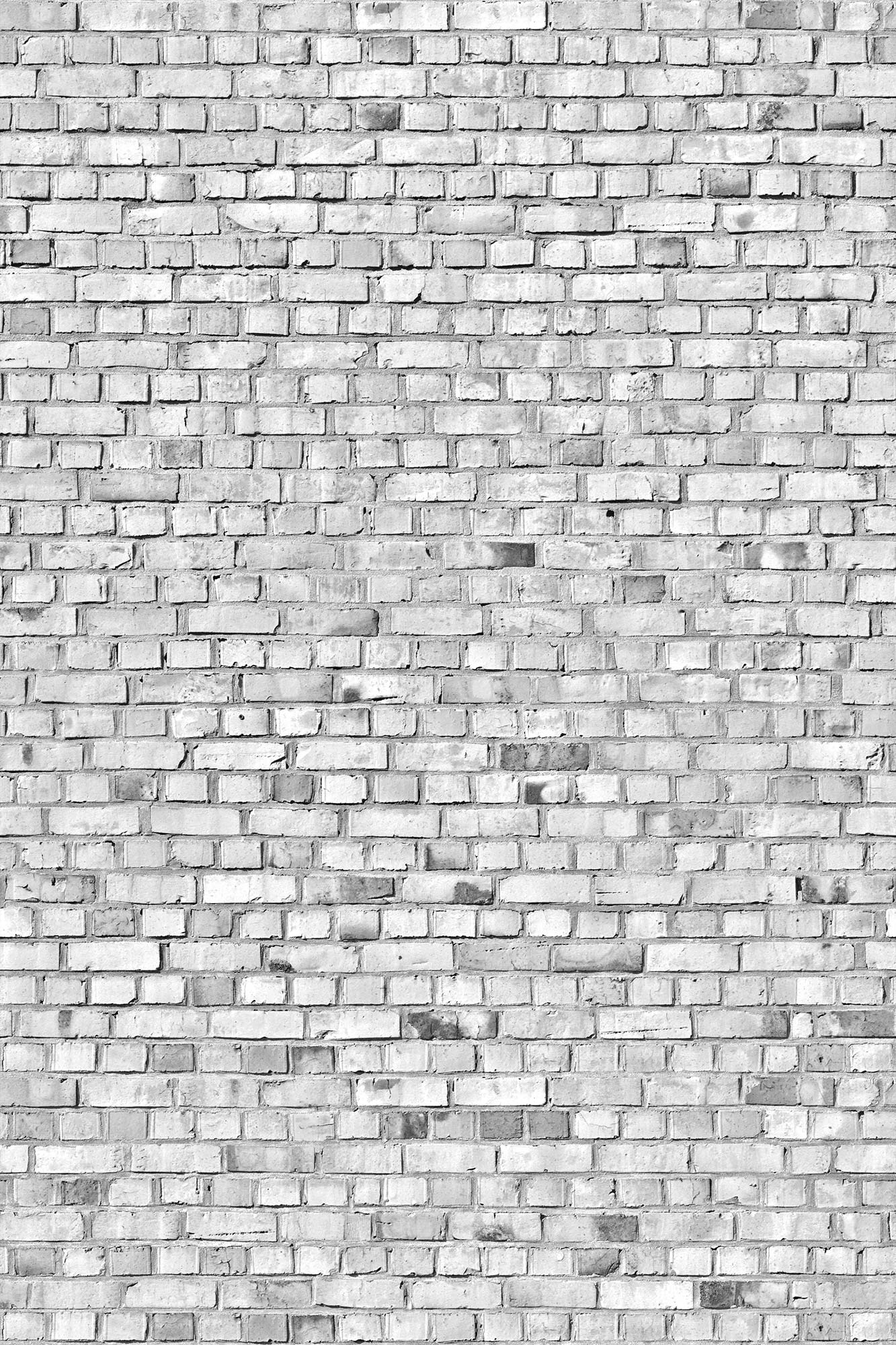 Brick Wall R10963