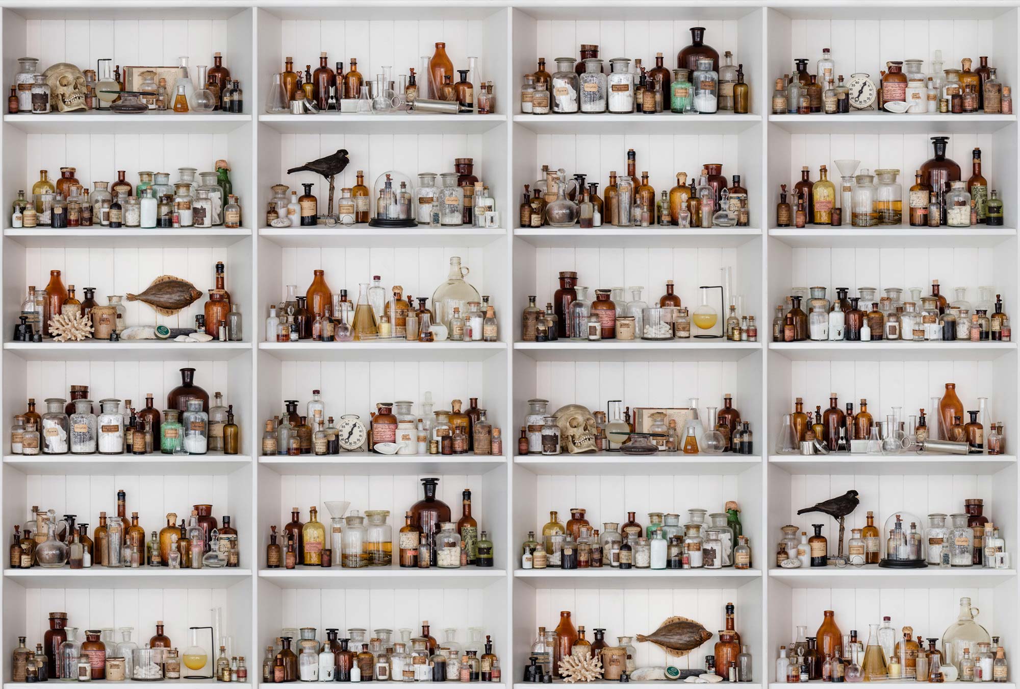 Cabinet Of Curios R14181