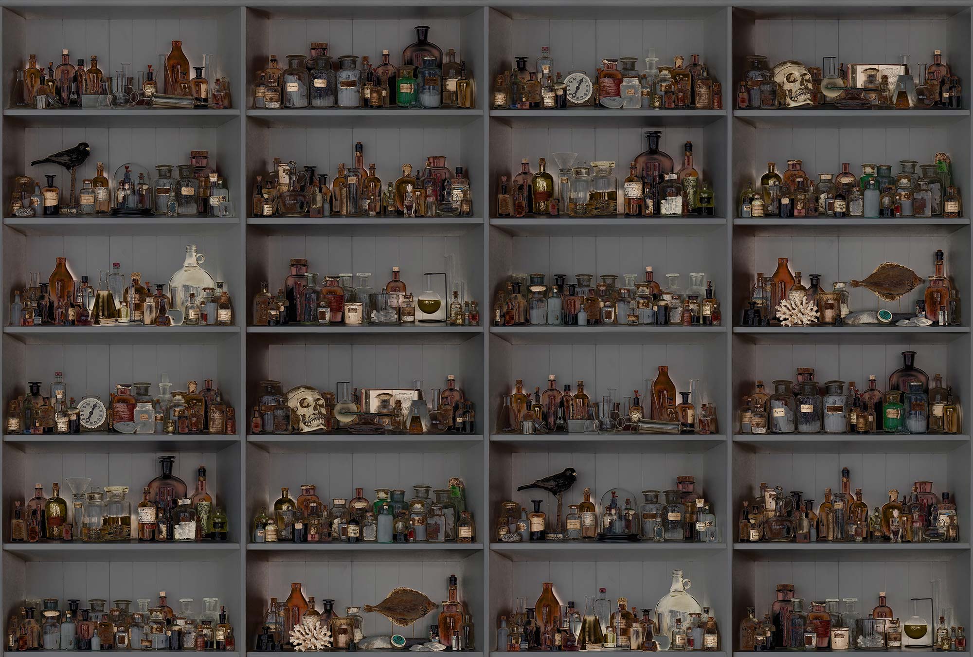 Cabinet Of Curios R14184