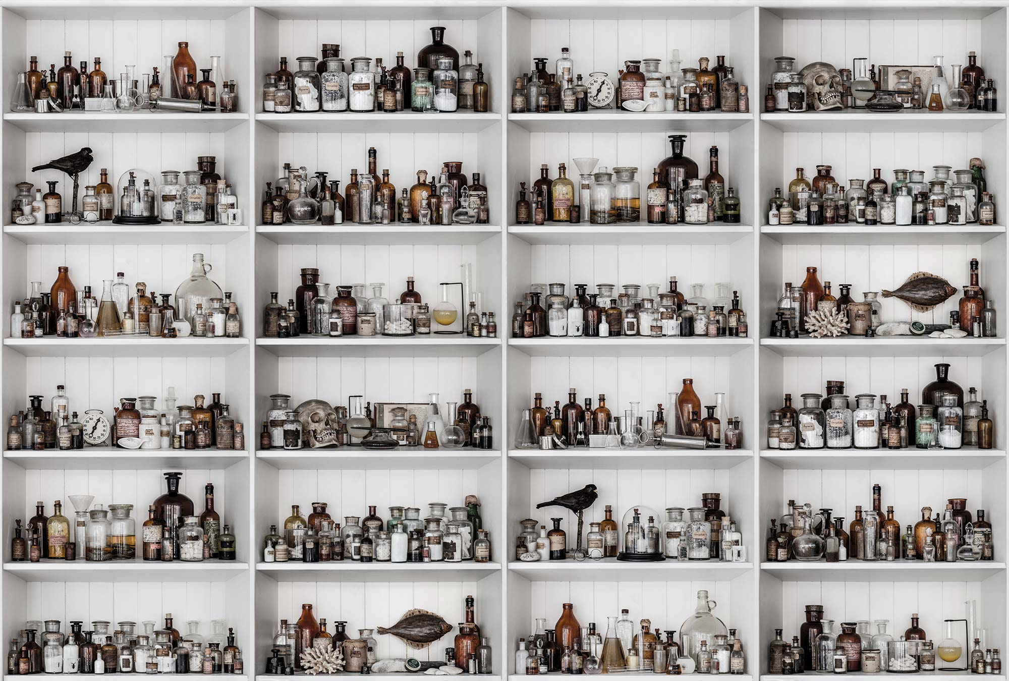 Cabinet Of Curios R14182