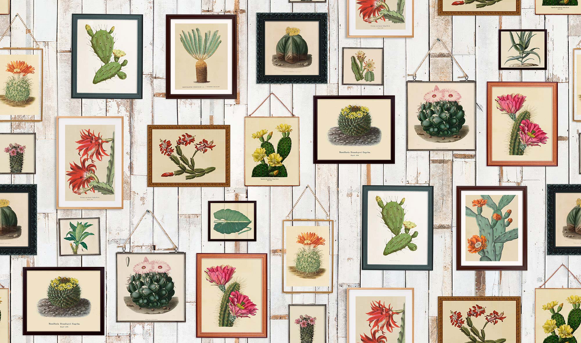 Cactus Wall Art R15321