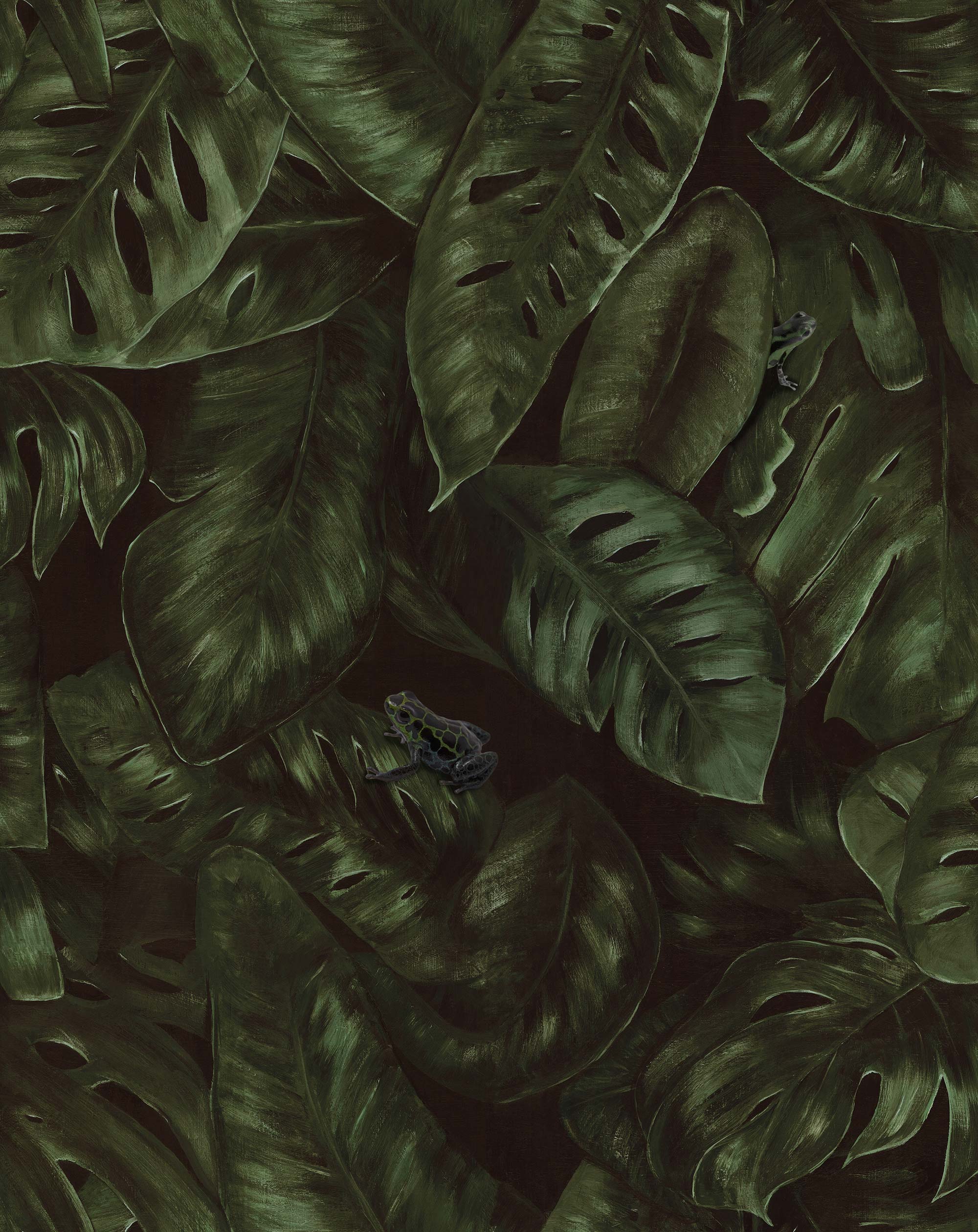 Cameroon R17581