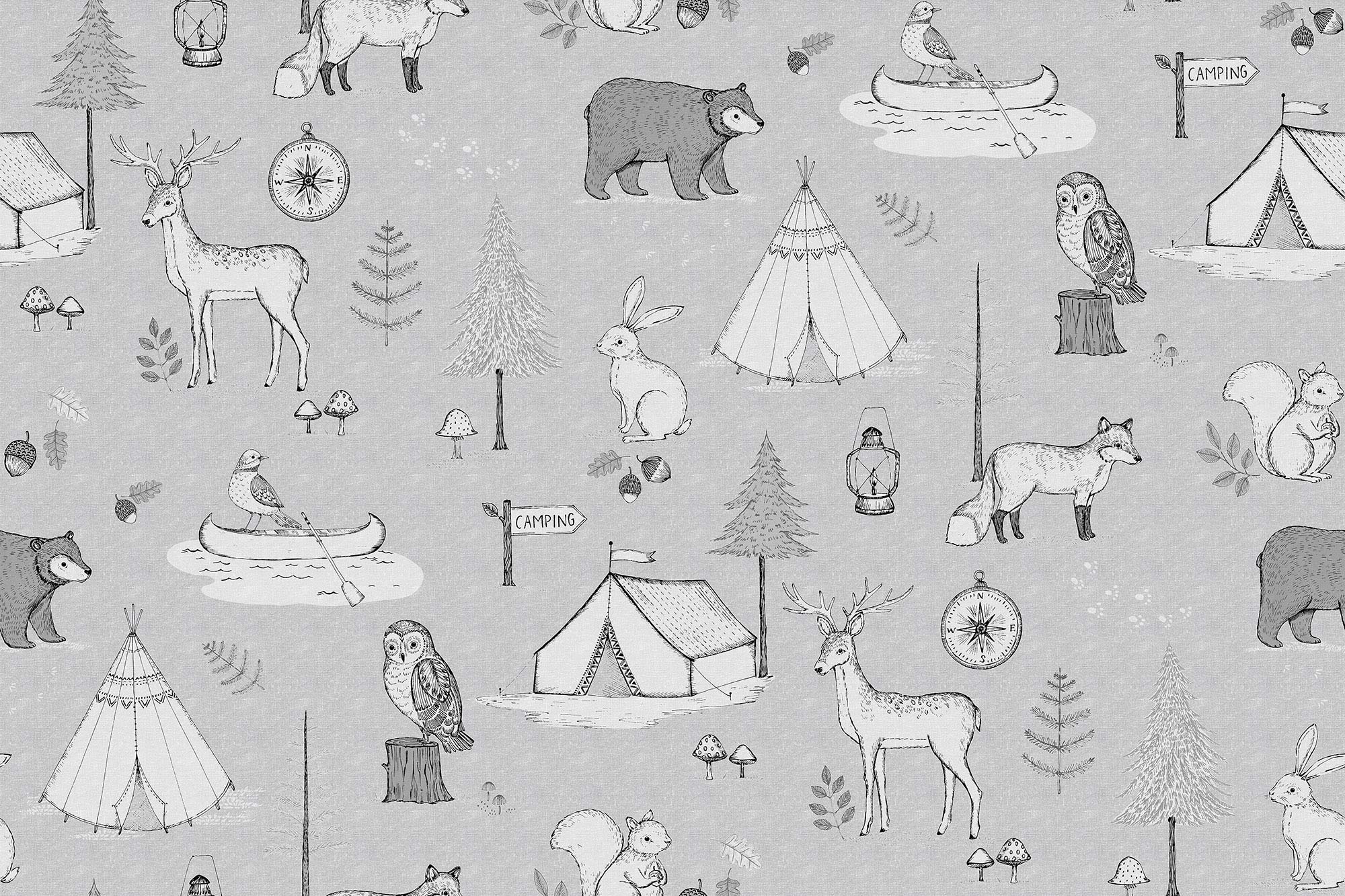 Camping Trip R15312