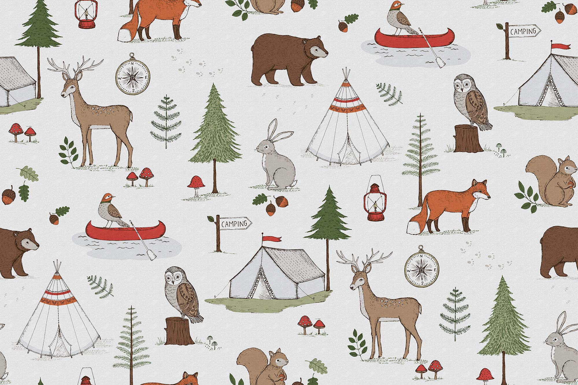 Camping Trip R15311