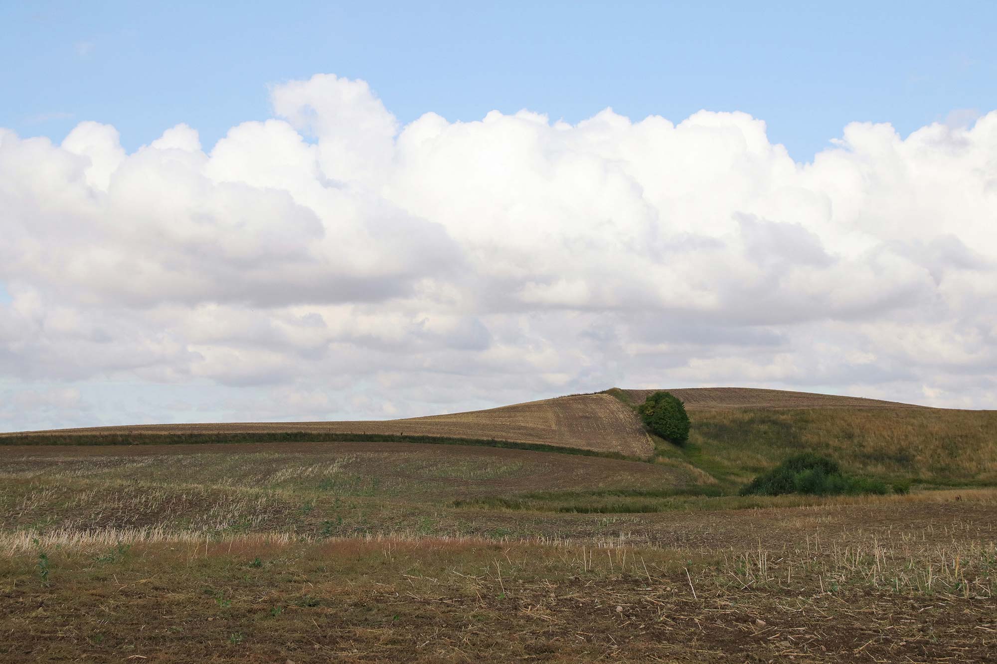 Cropland R16481