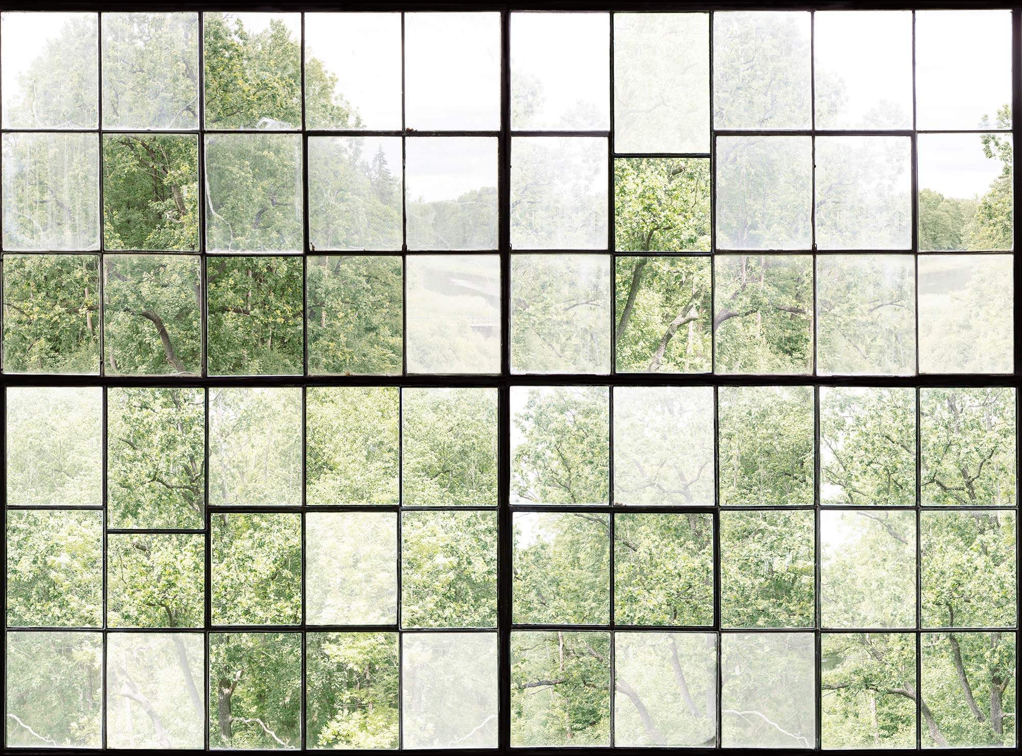 Factory Window R14381