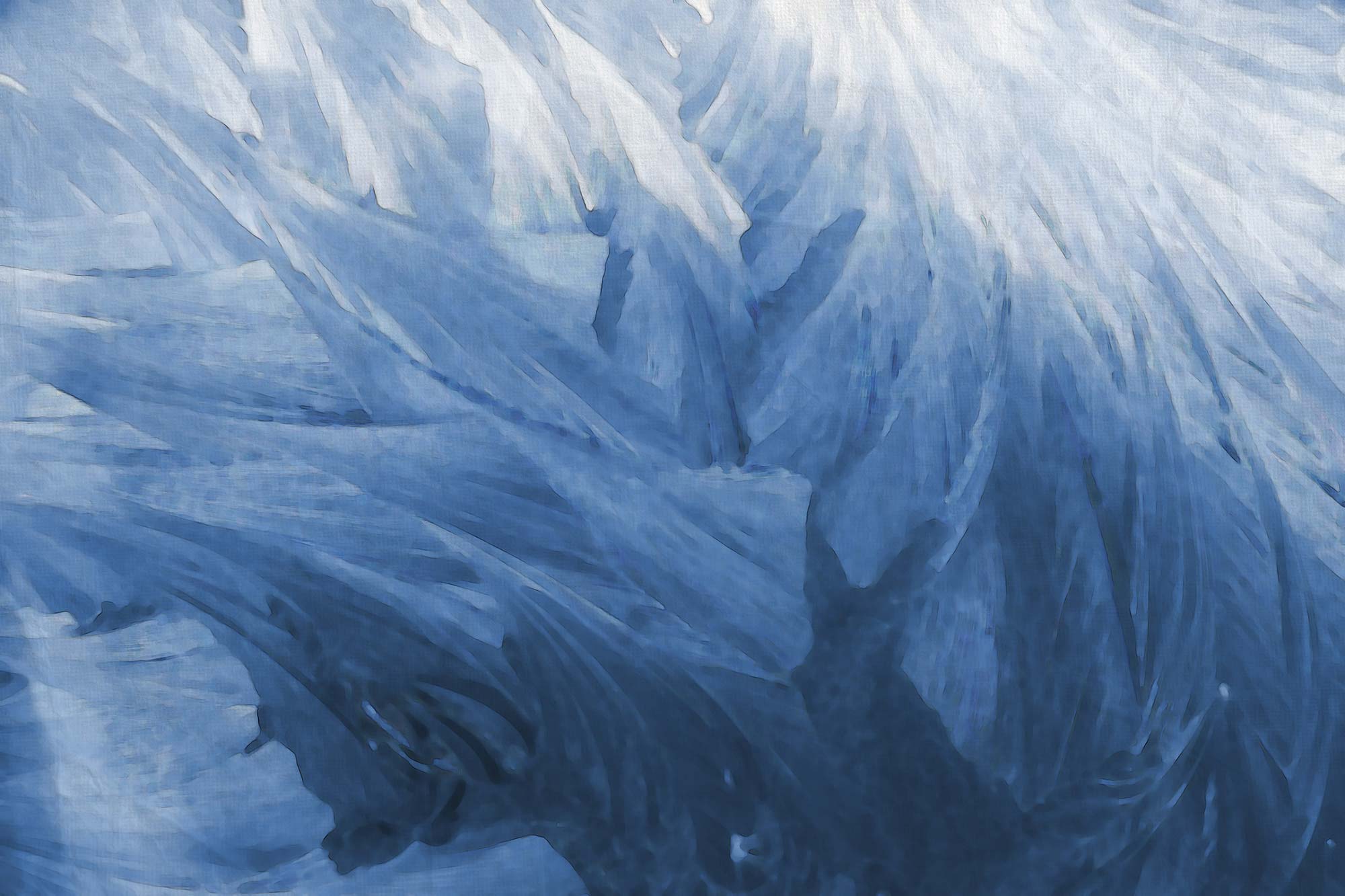 Feathers R12281