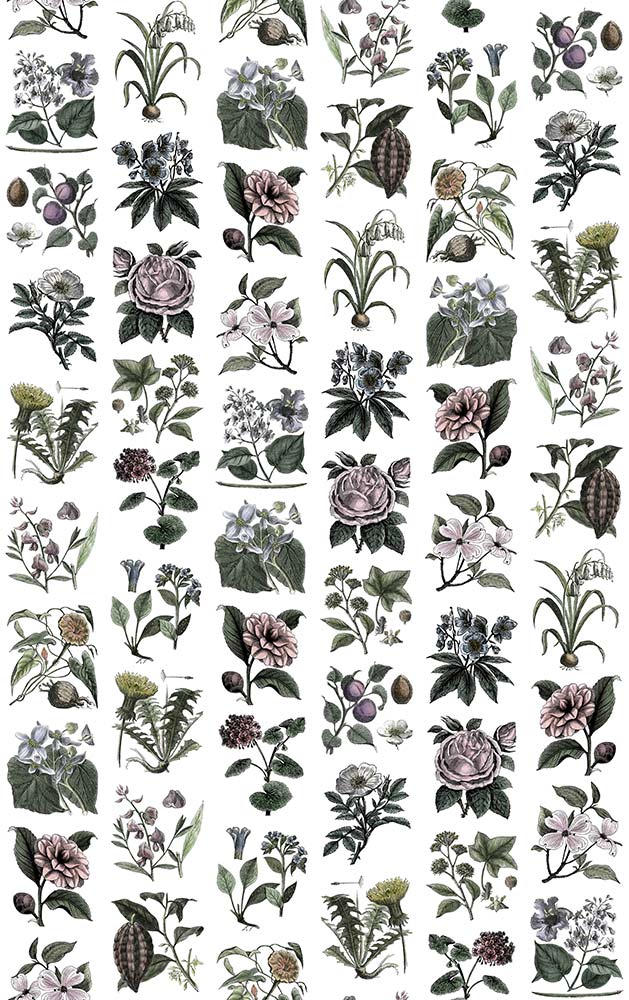 Fruit & Flora R13172