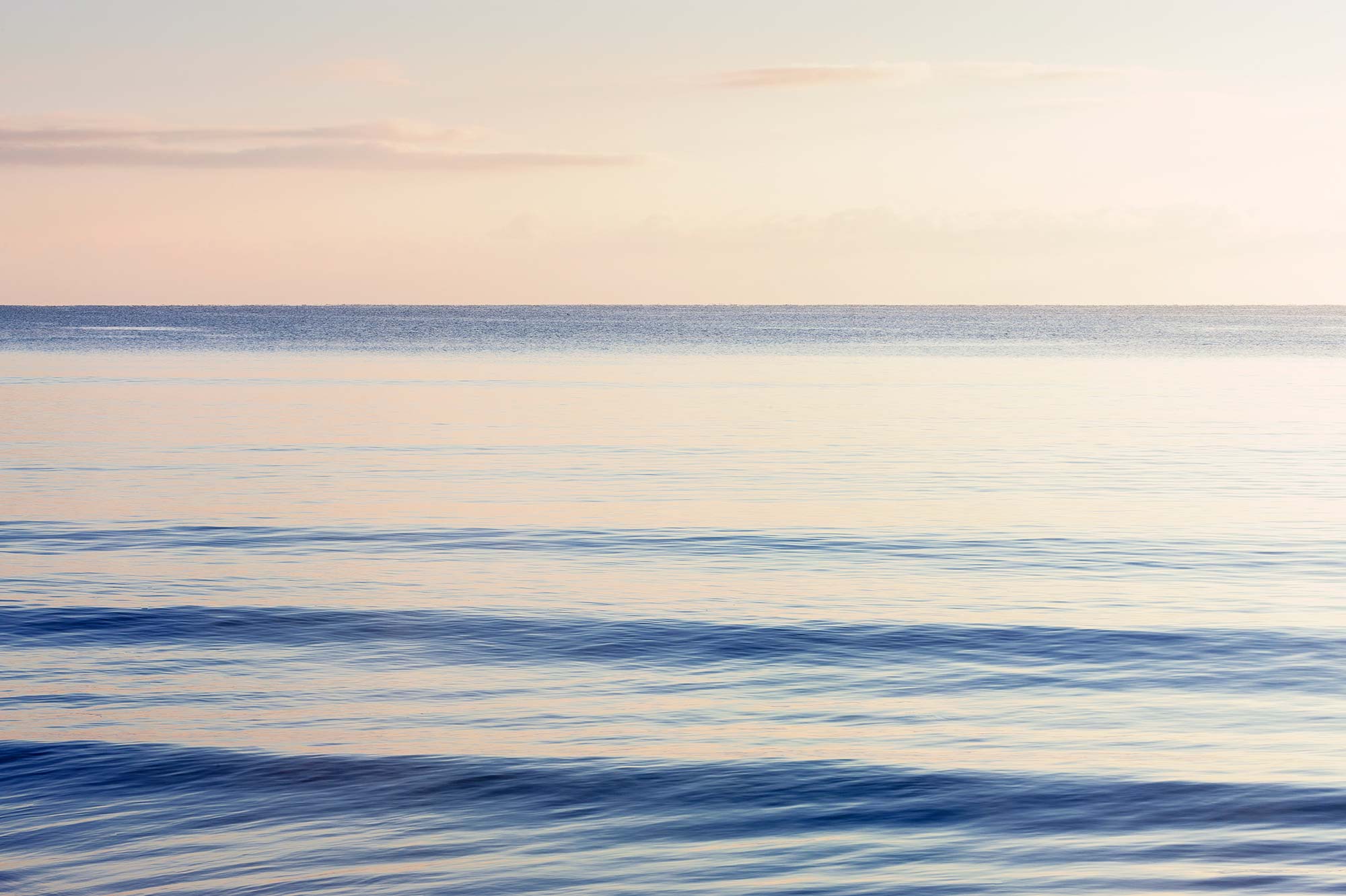 Graceful Sea R13311
