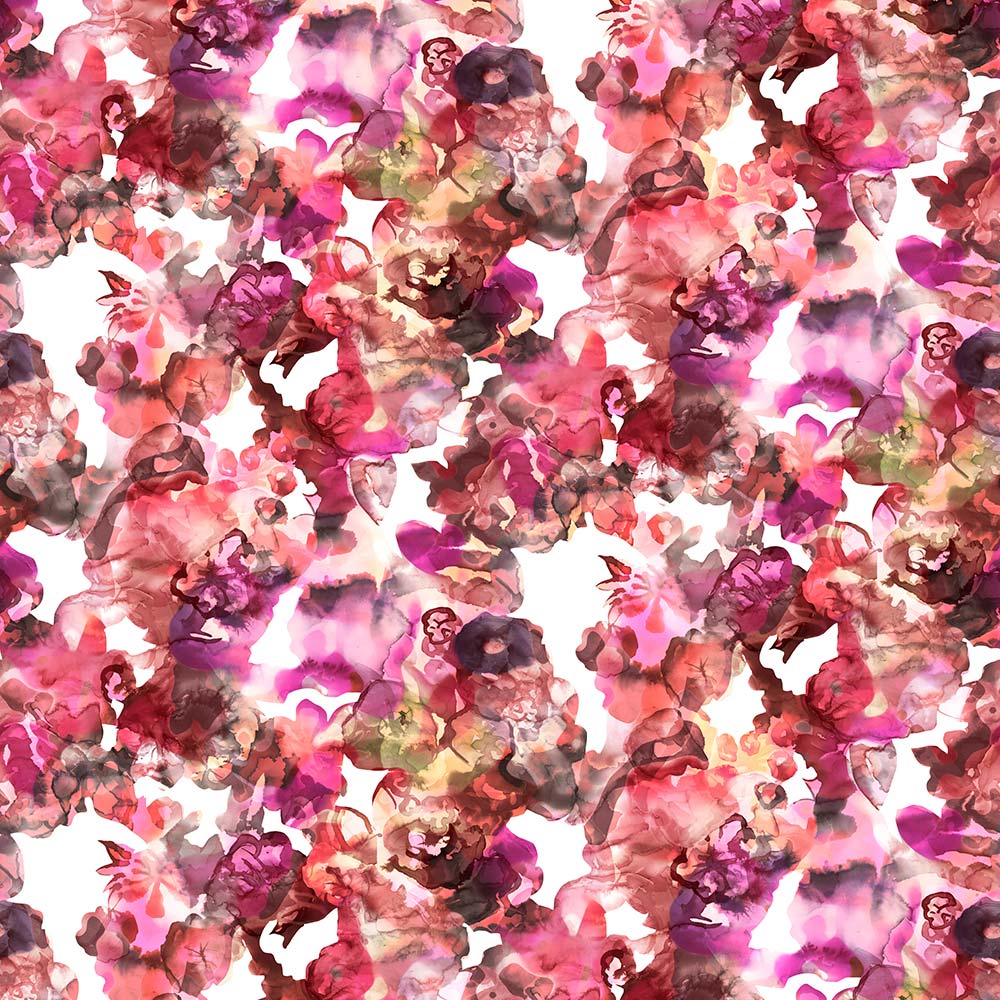 Lily Pond R13123