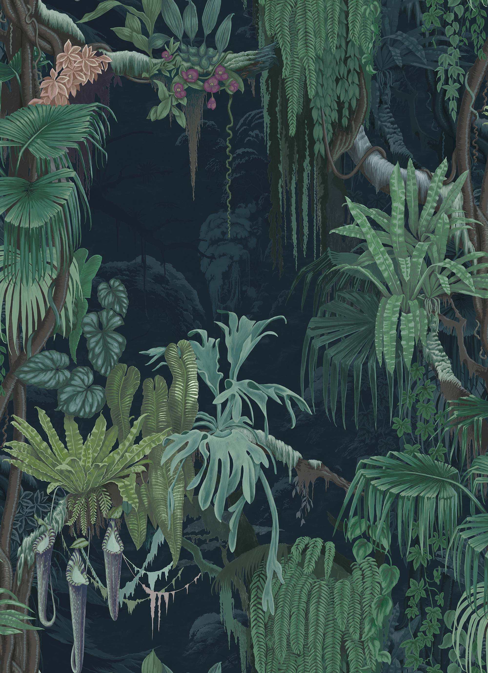 Madagascar R17491