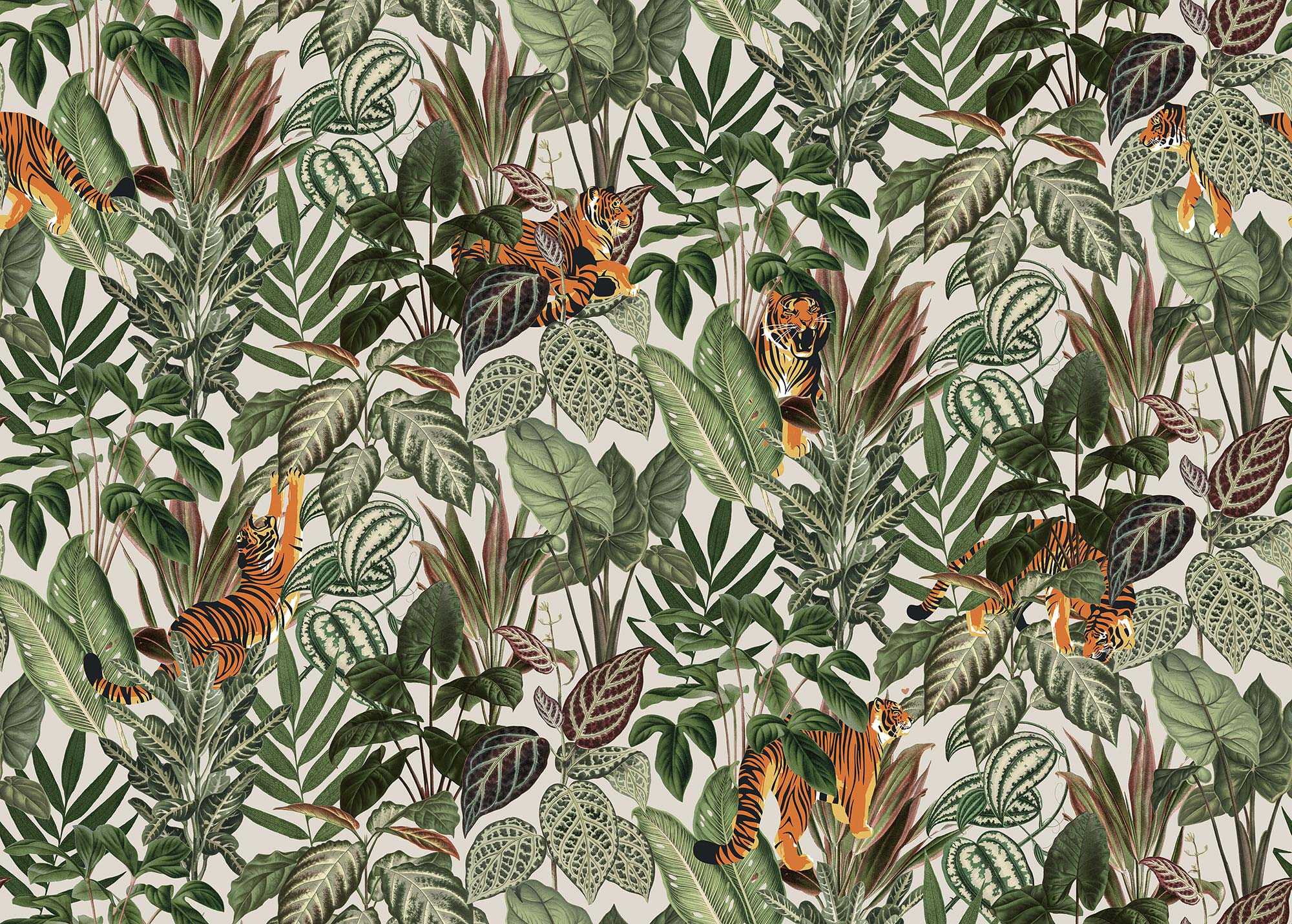 Mischievous Tigers R16811