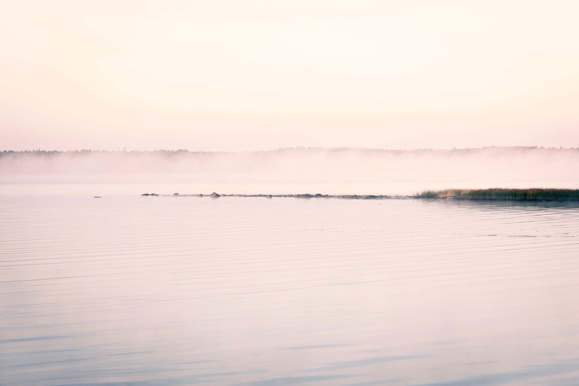 Misty Water R13301