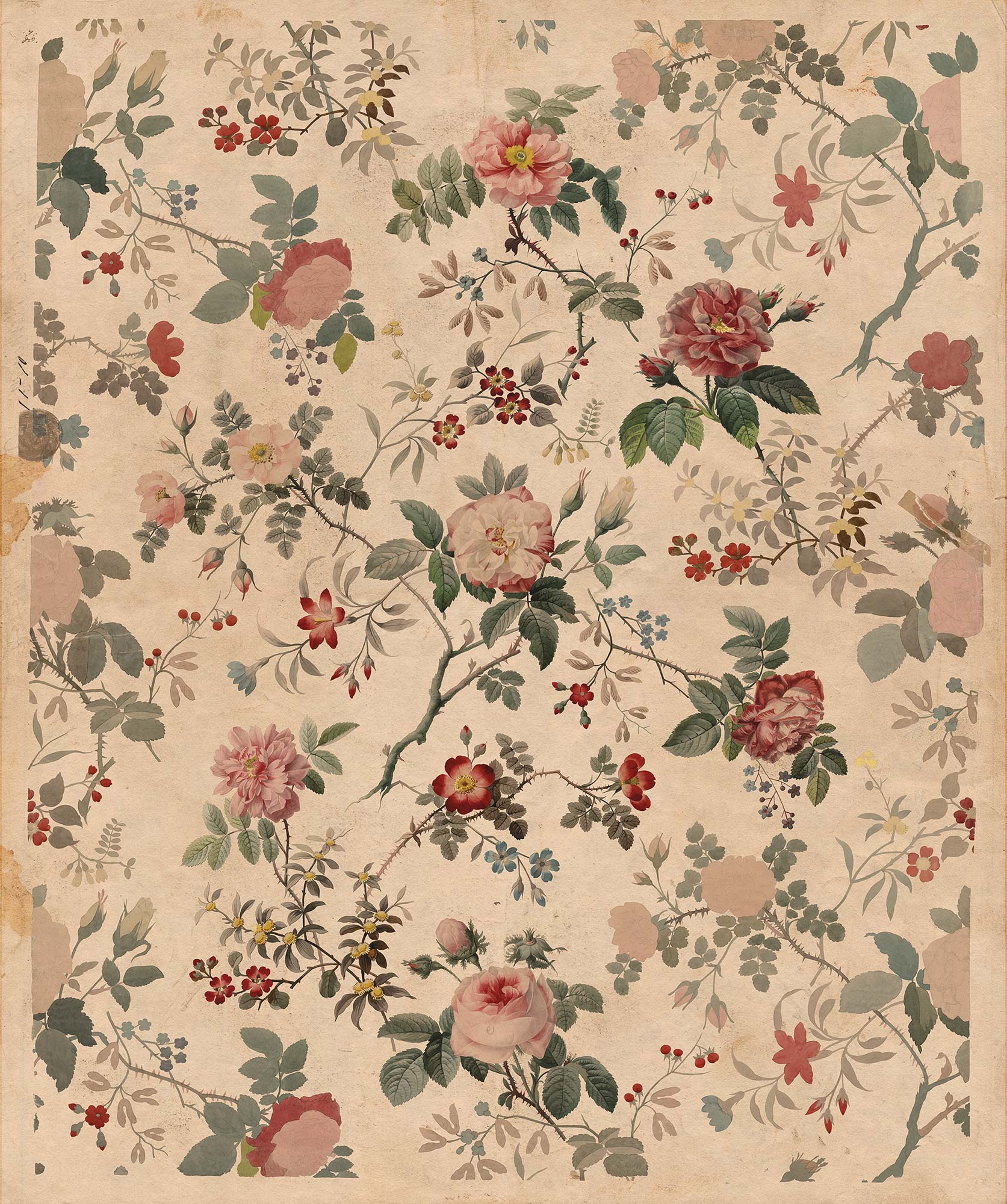 Rosegarden R13071