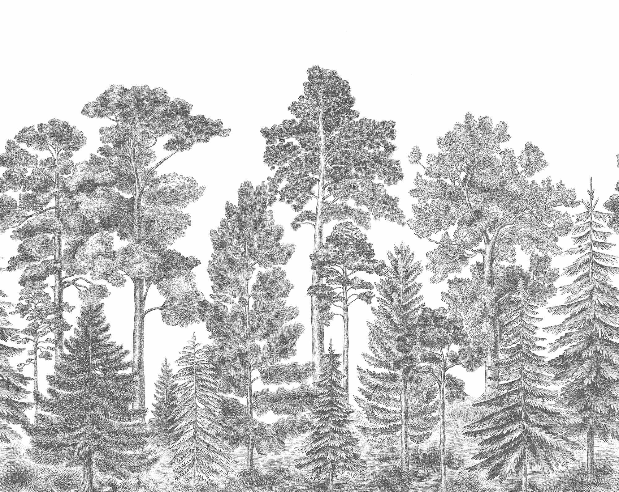 Scandinavian Bellewood R17201