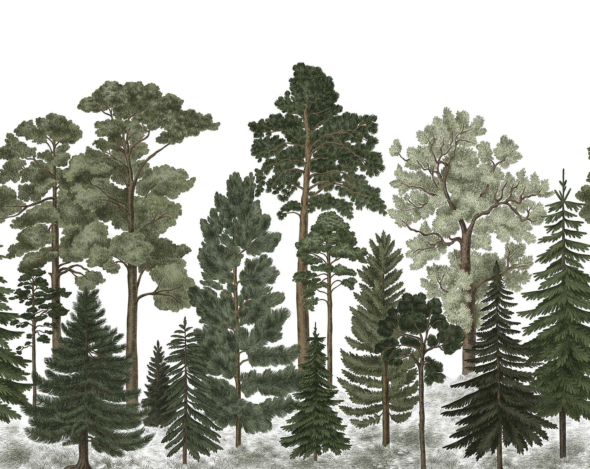Scandinavian Bellewood R17204