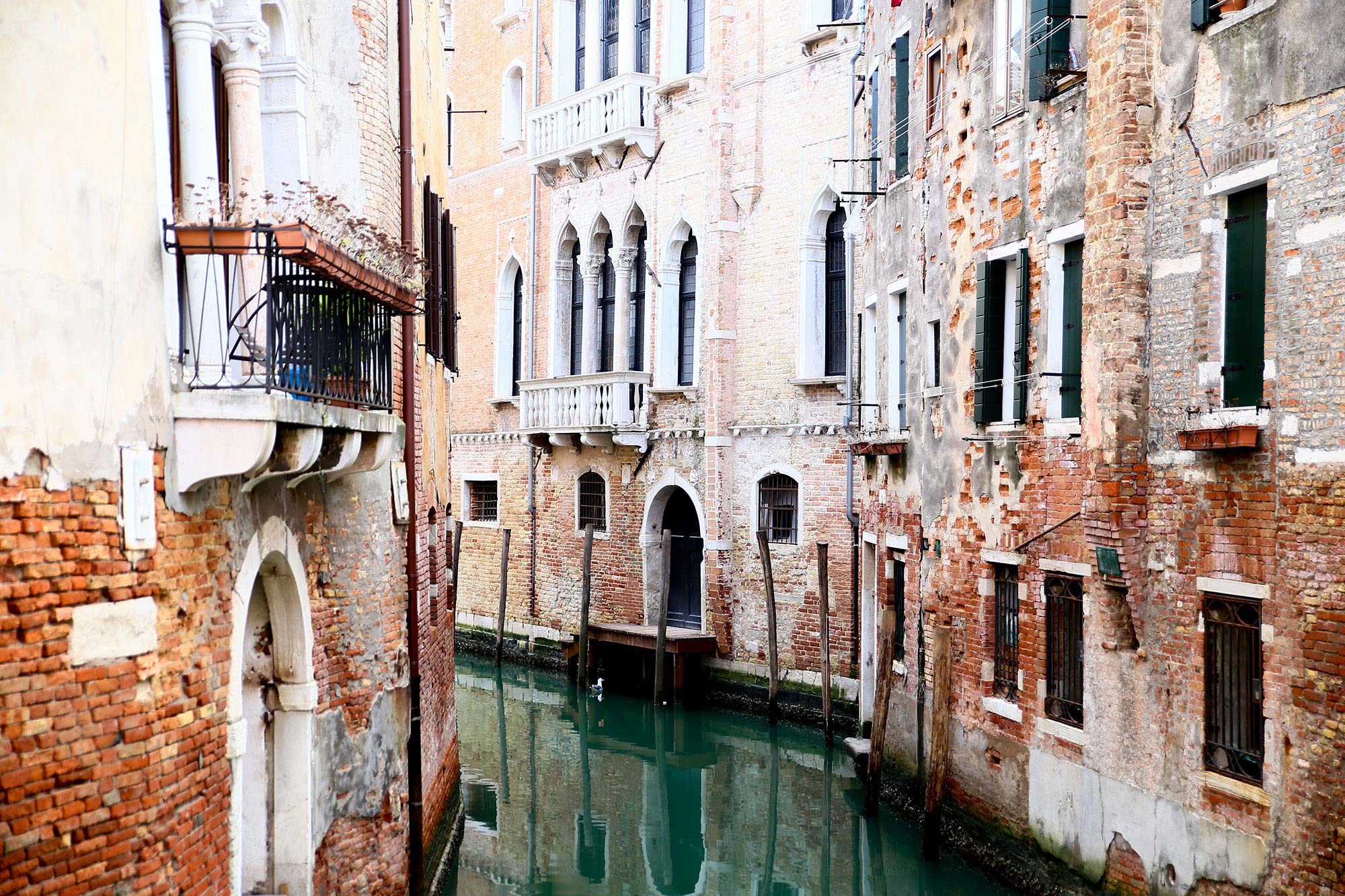 Venice R15191