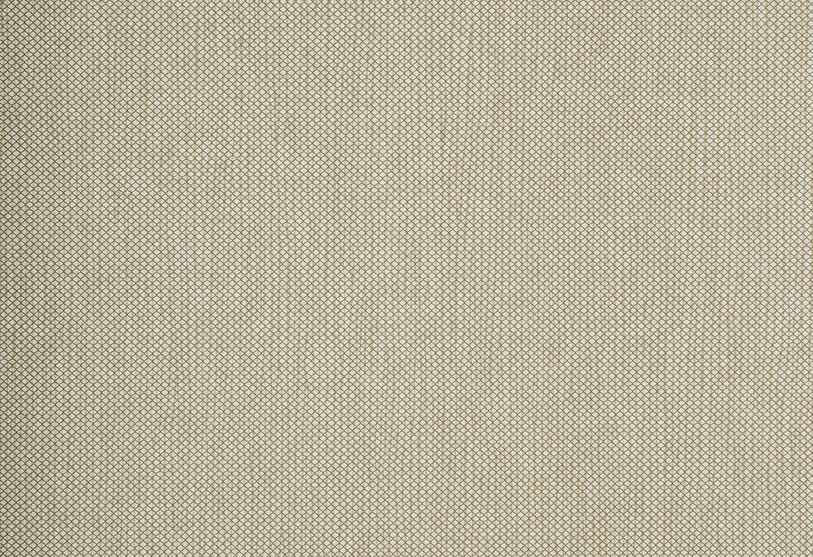 Refined Grid 73203