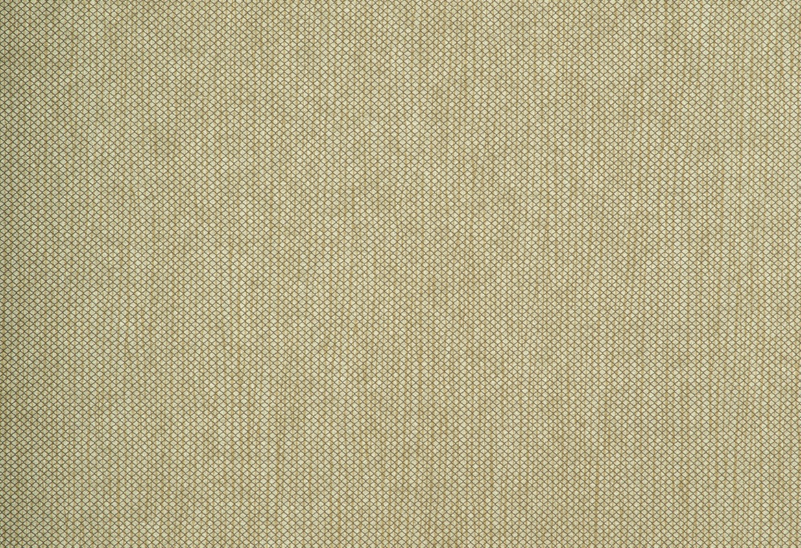 Refined Grid 73205