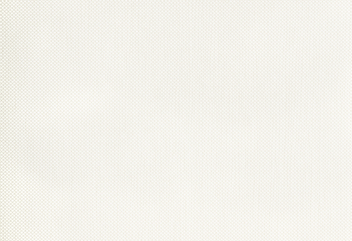 Refined Grid 73209