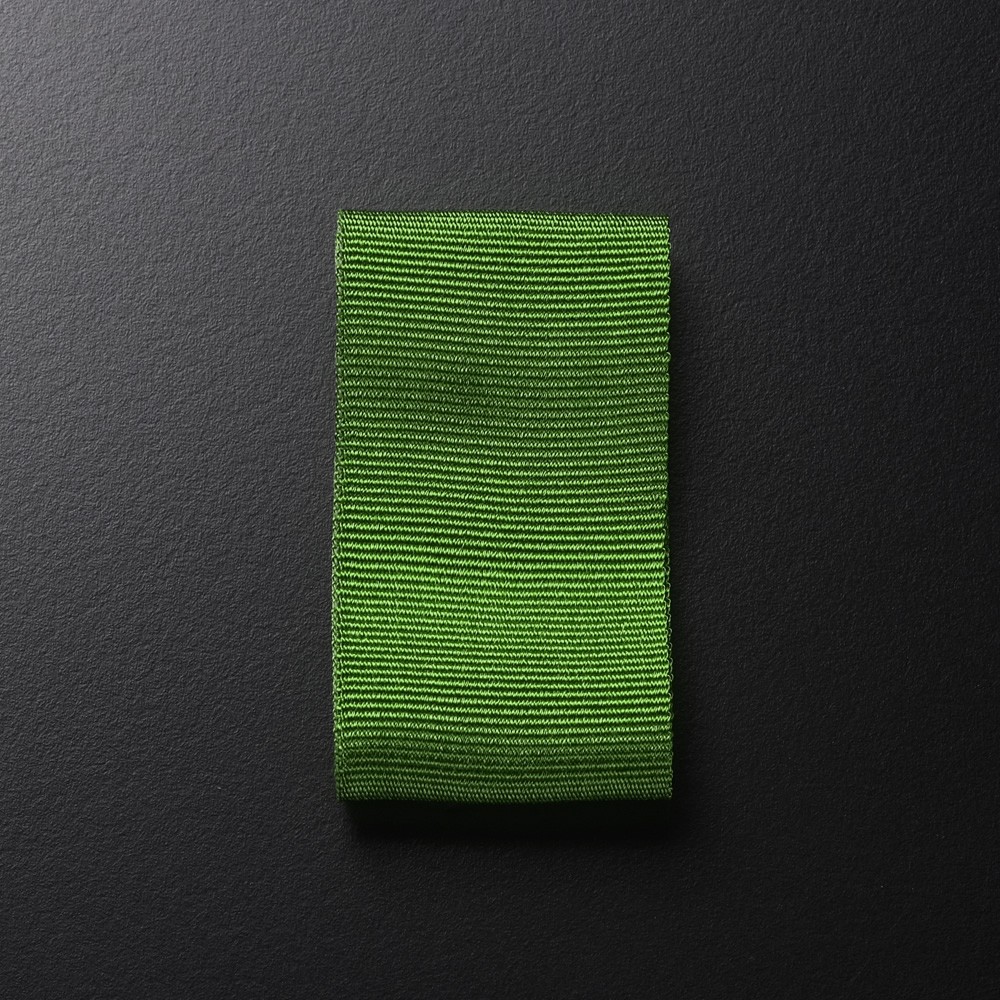 Ribbon PIN008-030
