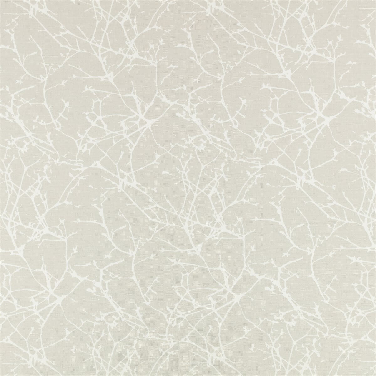 Acacia 7758-08