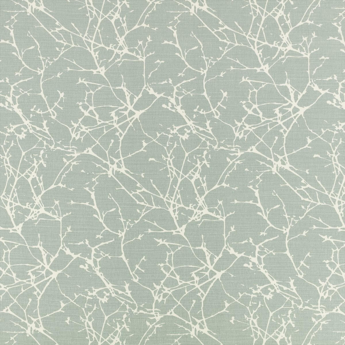 Acacia 7758-10