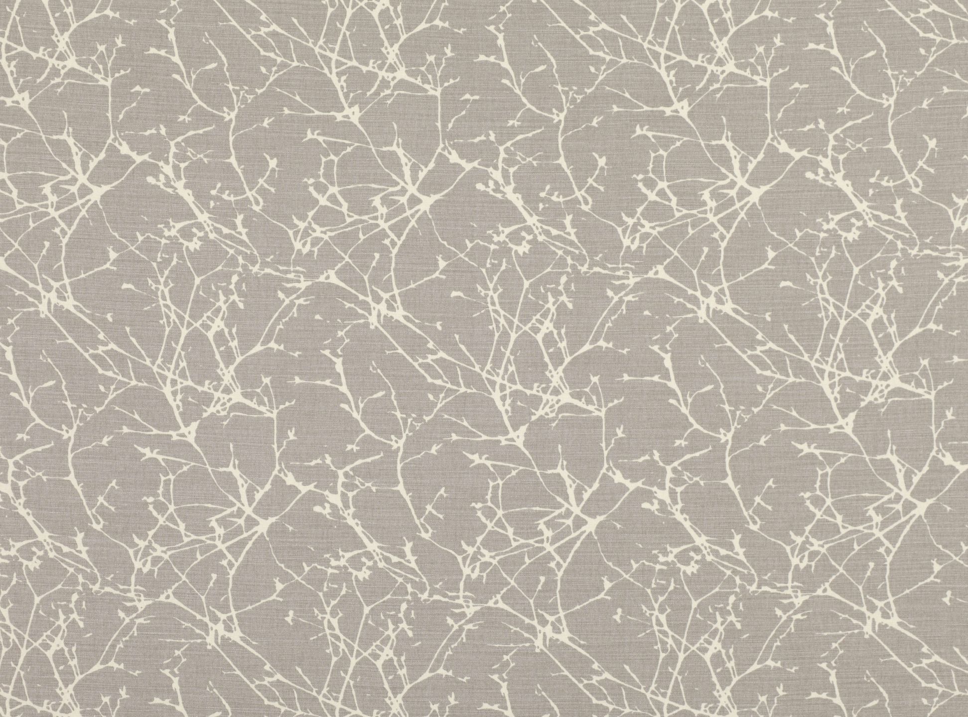 Acacia FR B7758-05