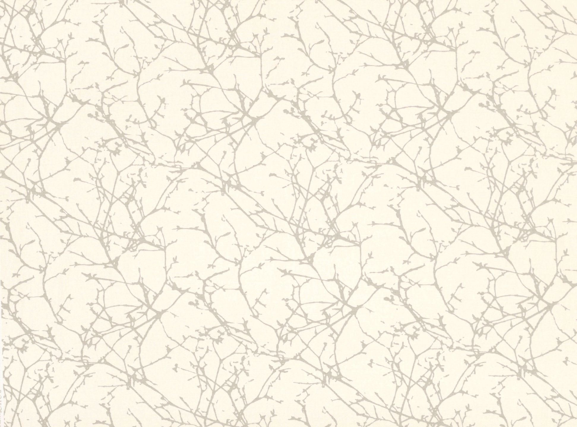 Acacia FR B7758-02