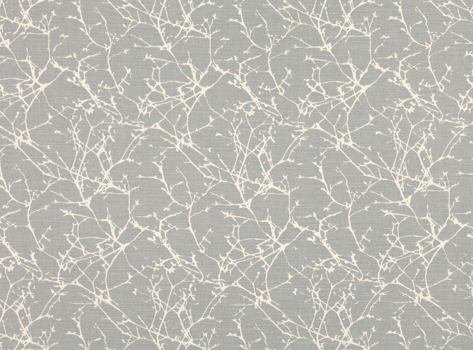 Acacia FR B7758-06