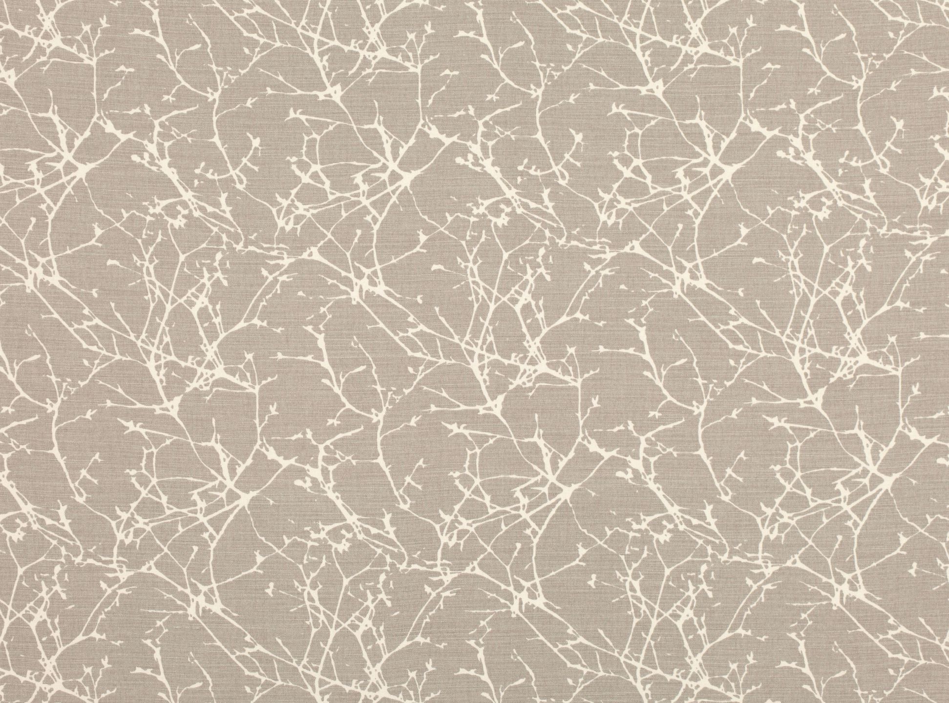 Acacia FR B7758-03
