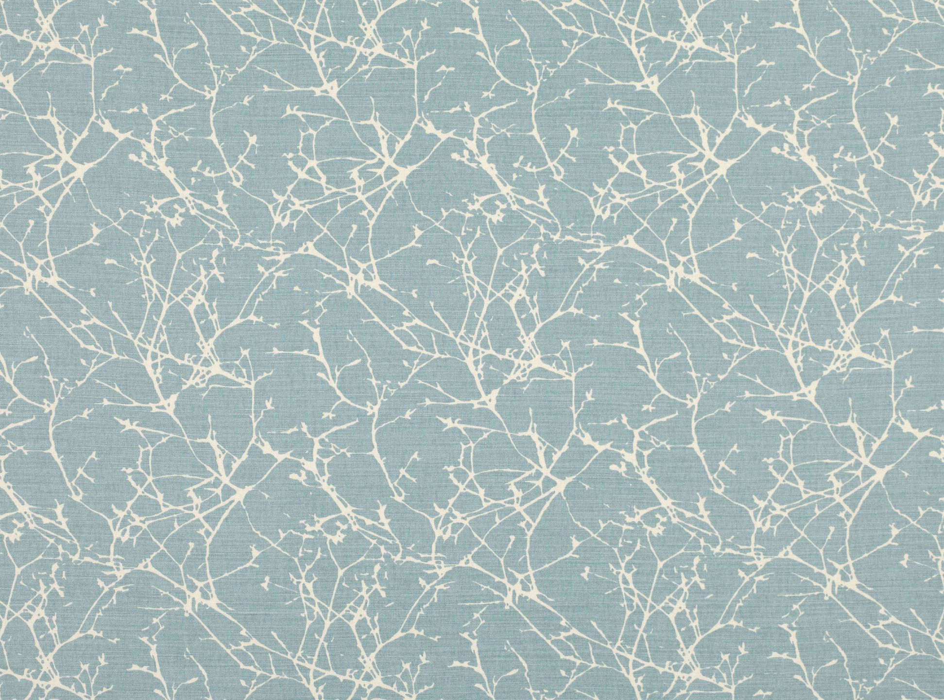 Acacia FR B7758-04