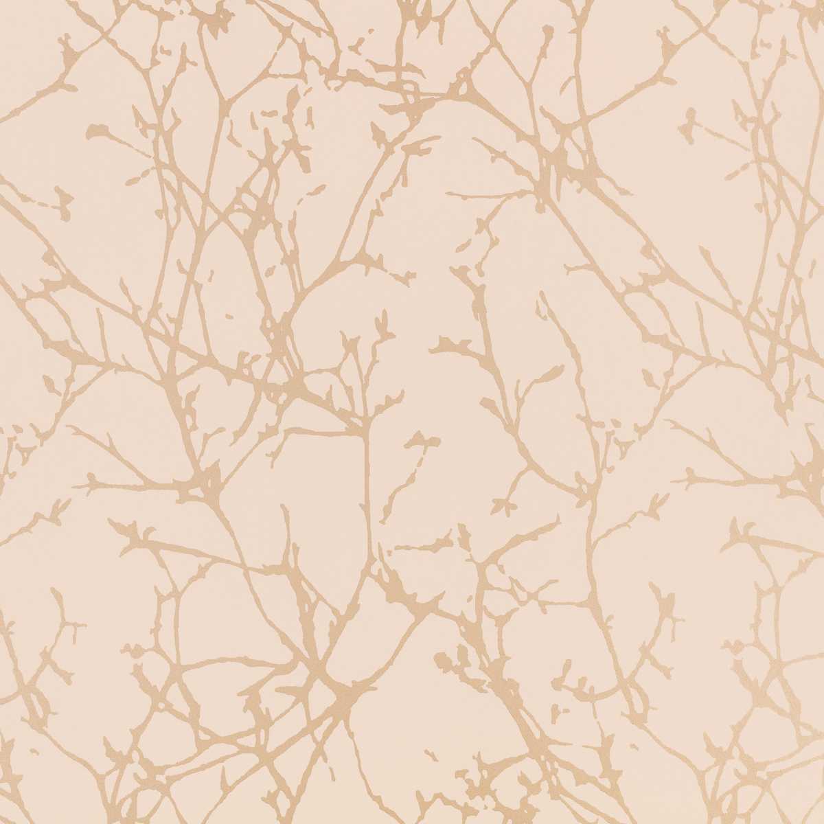 Arbor Wild Rose