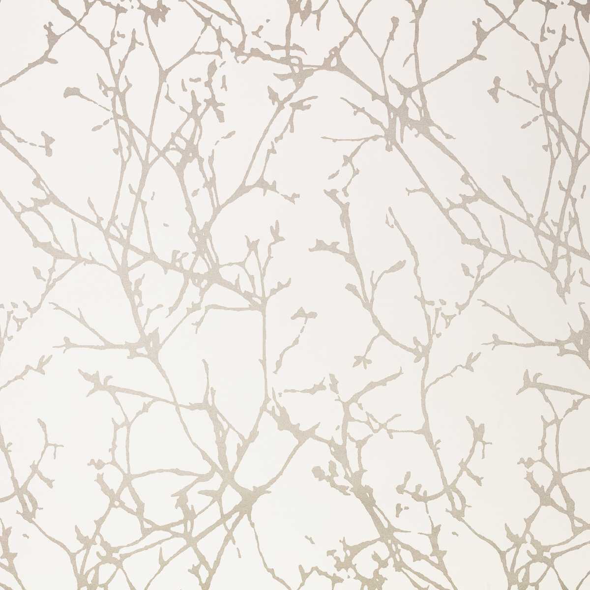 Arbor Jasmine