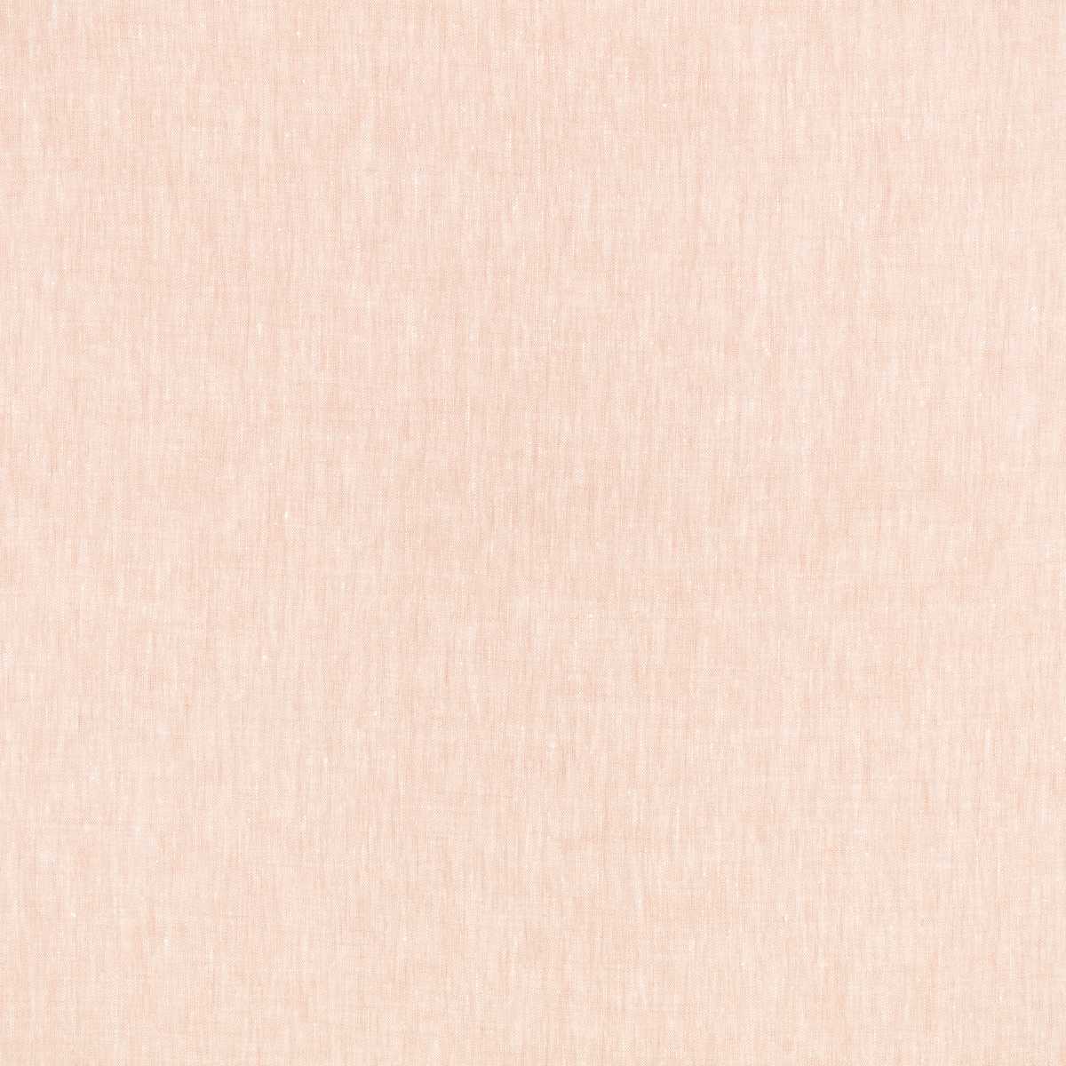 Asolo Wild Rose