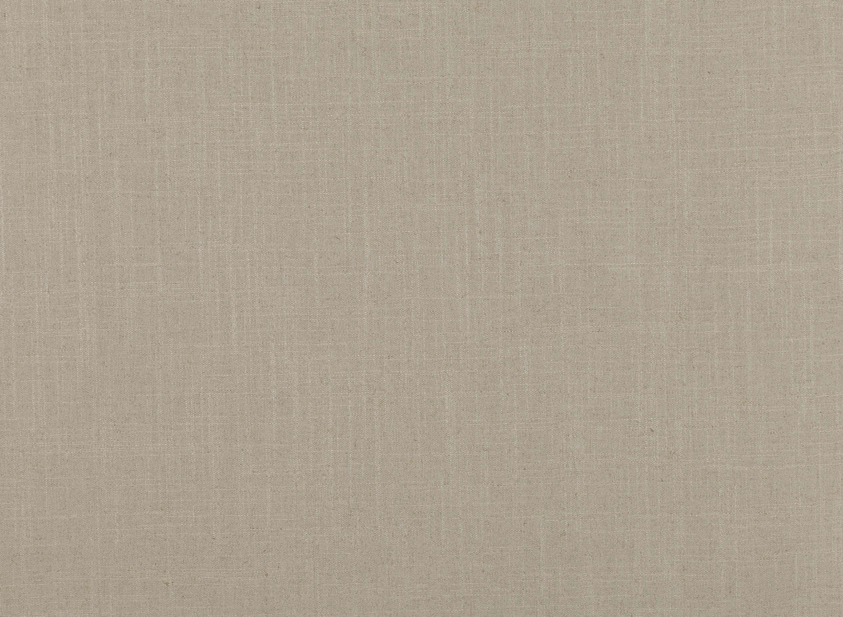 Asuri Seashell 7726-01